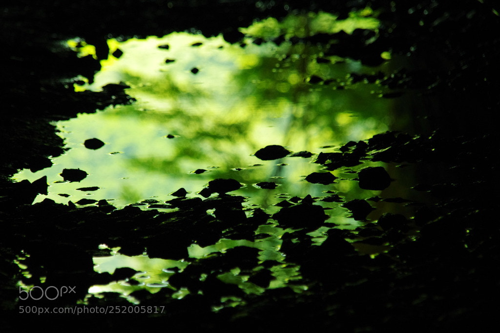 Pentax K-r sample photo. Still water photography