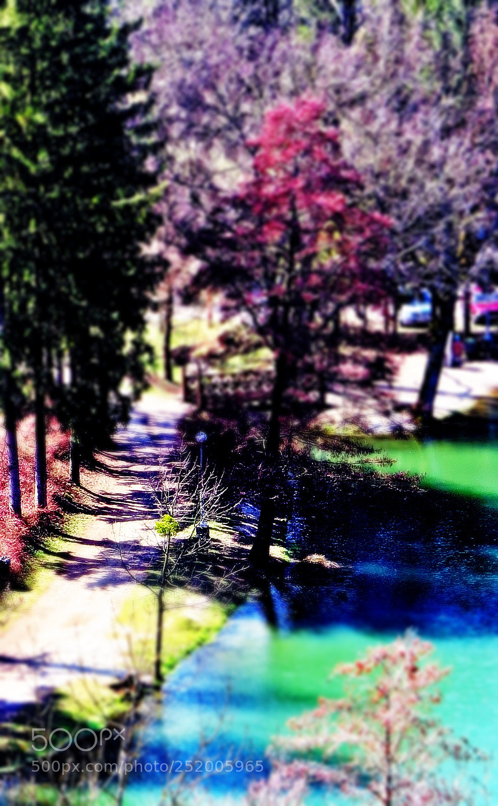 Canon PowerShot SX50 HS sample photo. Colour the world! photography