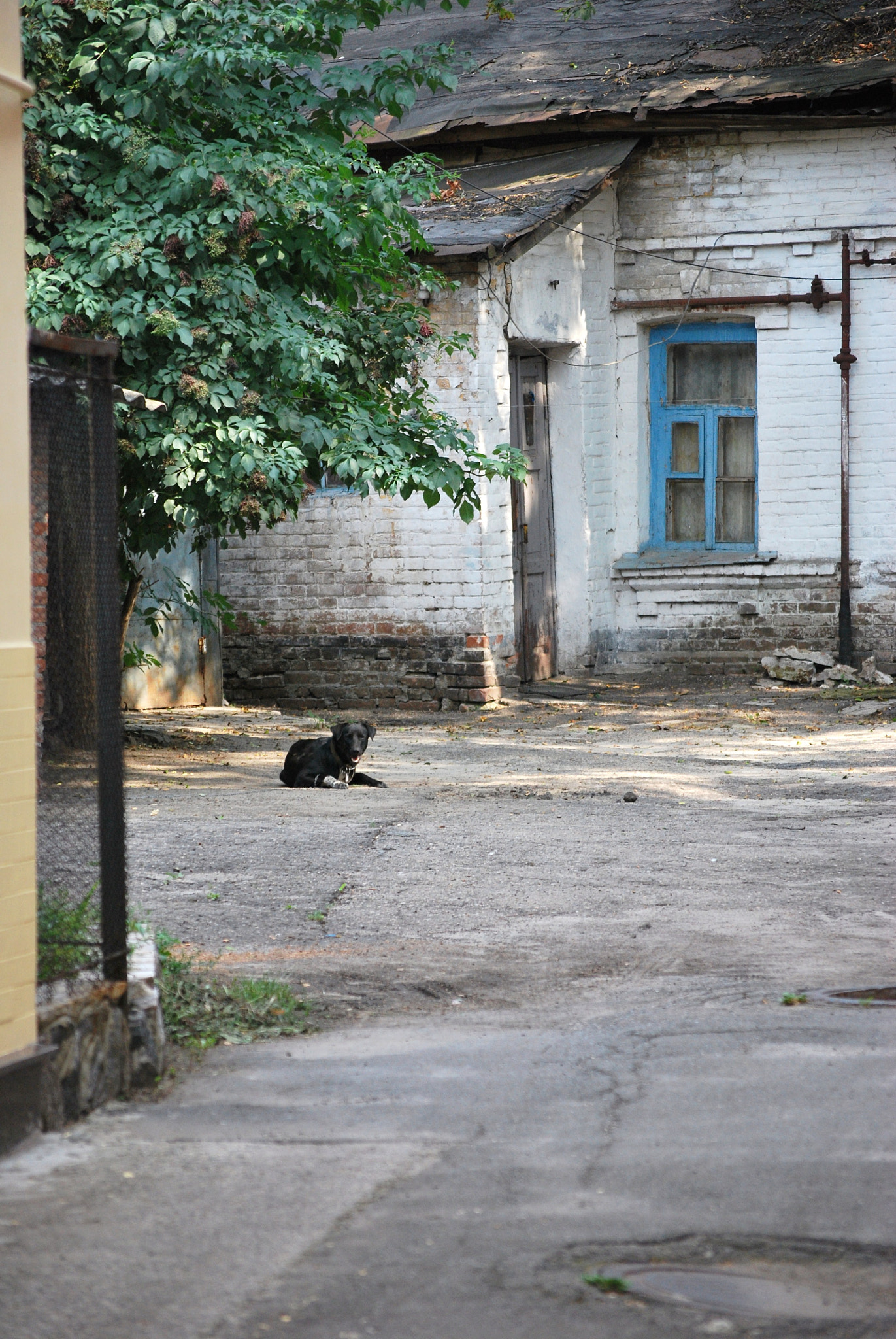 Nikon D60 sample photo. Fdbcforig photography