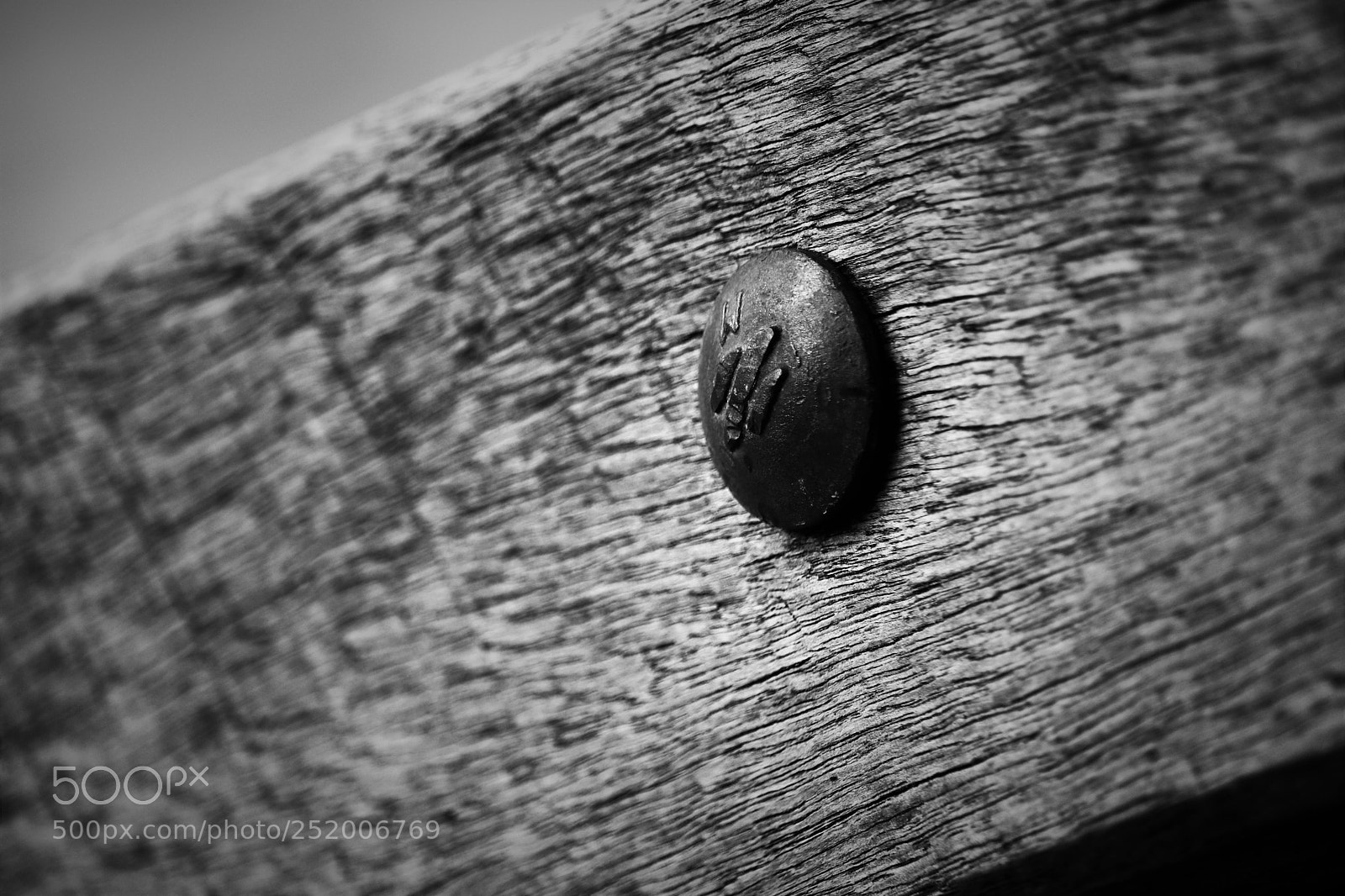 Canon EOS 80D sample photo. Nailed in  photography