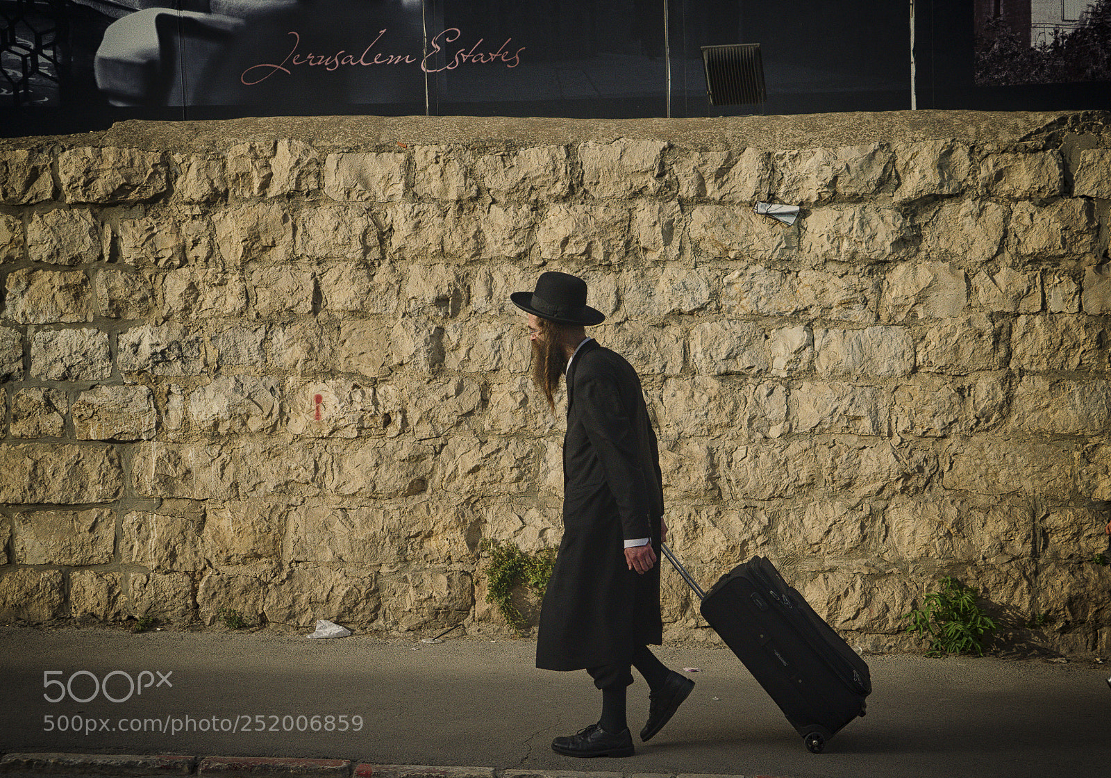 Sony a7 II sample photo. The wandering jew photography