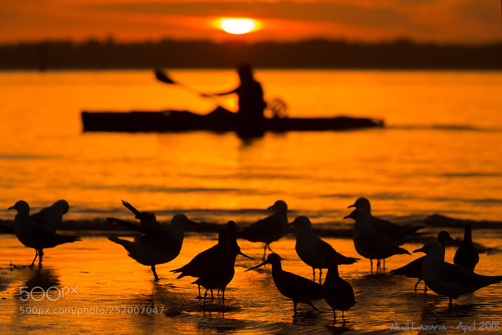 Canon EOS-1D X sample photo. Sunrise at botany bay photography