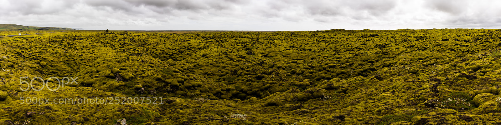 Nikon D810 sample photo. Endless photography