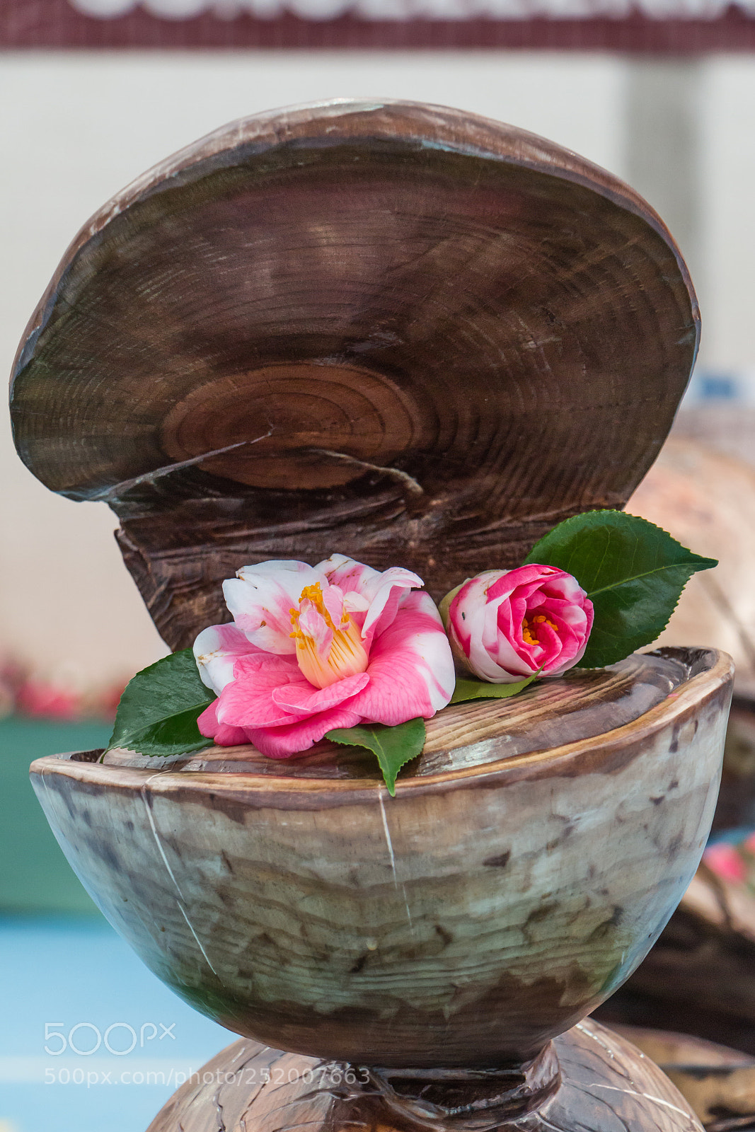 Canon EOS 70D sample photo. Camelia photography