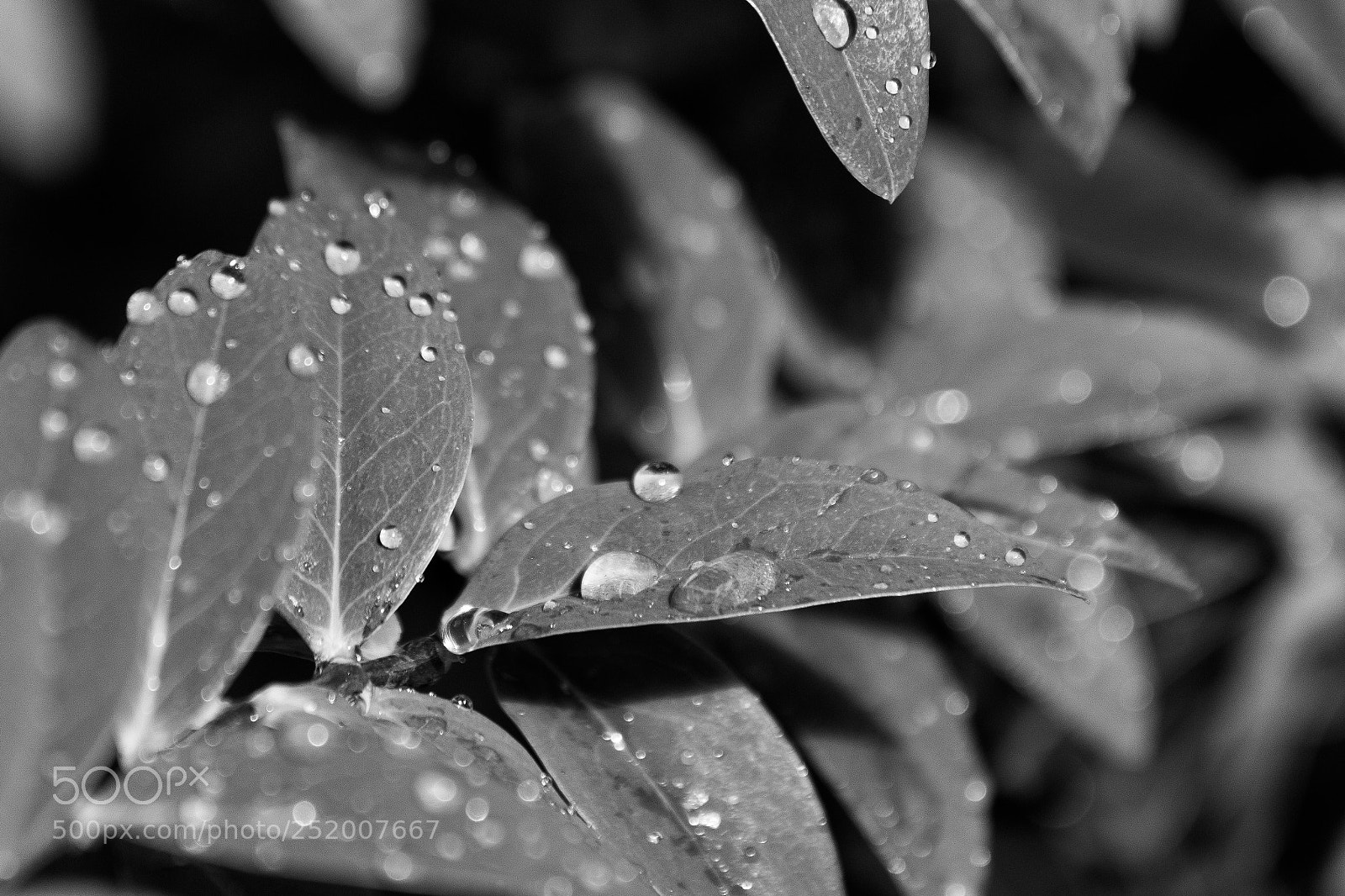 Canon EOS 700D (EOS Rebel T5i / EOS Kiss X7i) sample photo. Untitled photography