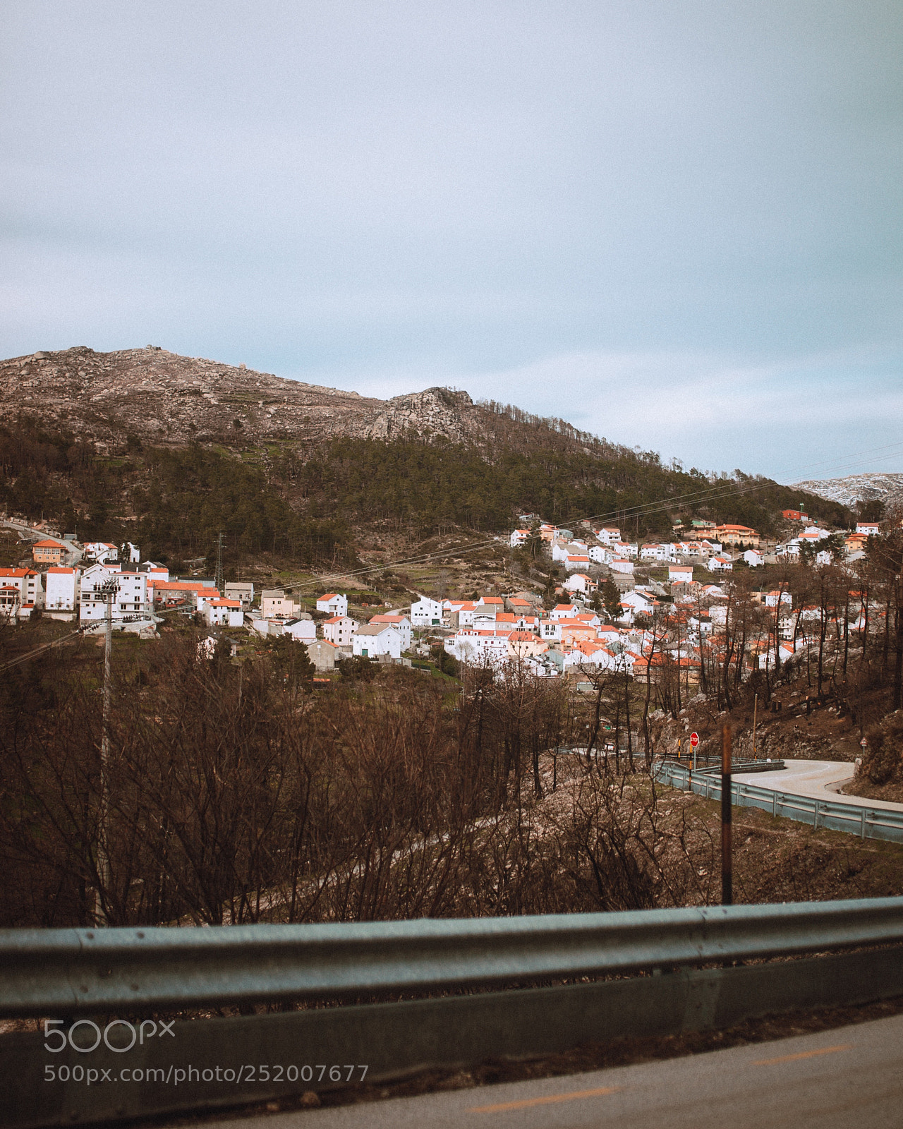 Nikon D610 sample photo. Untitled photography