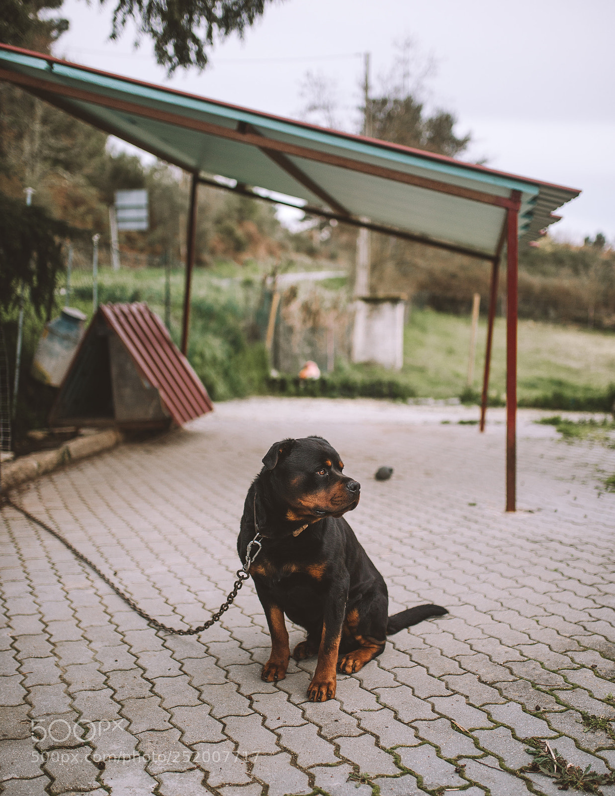 Nikon D610 sample photo. Untitled photography