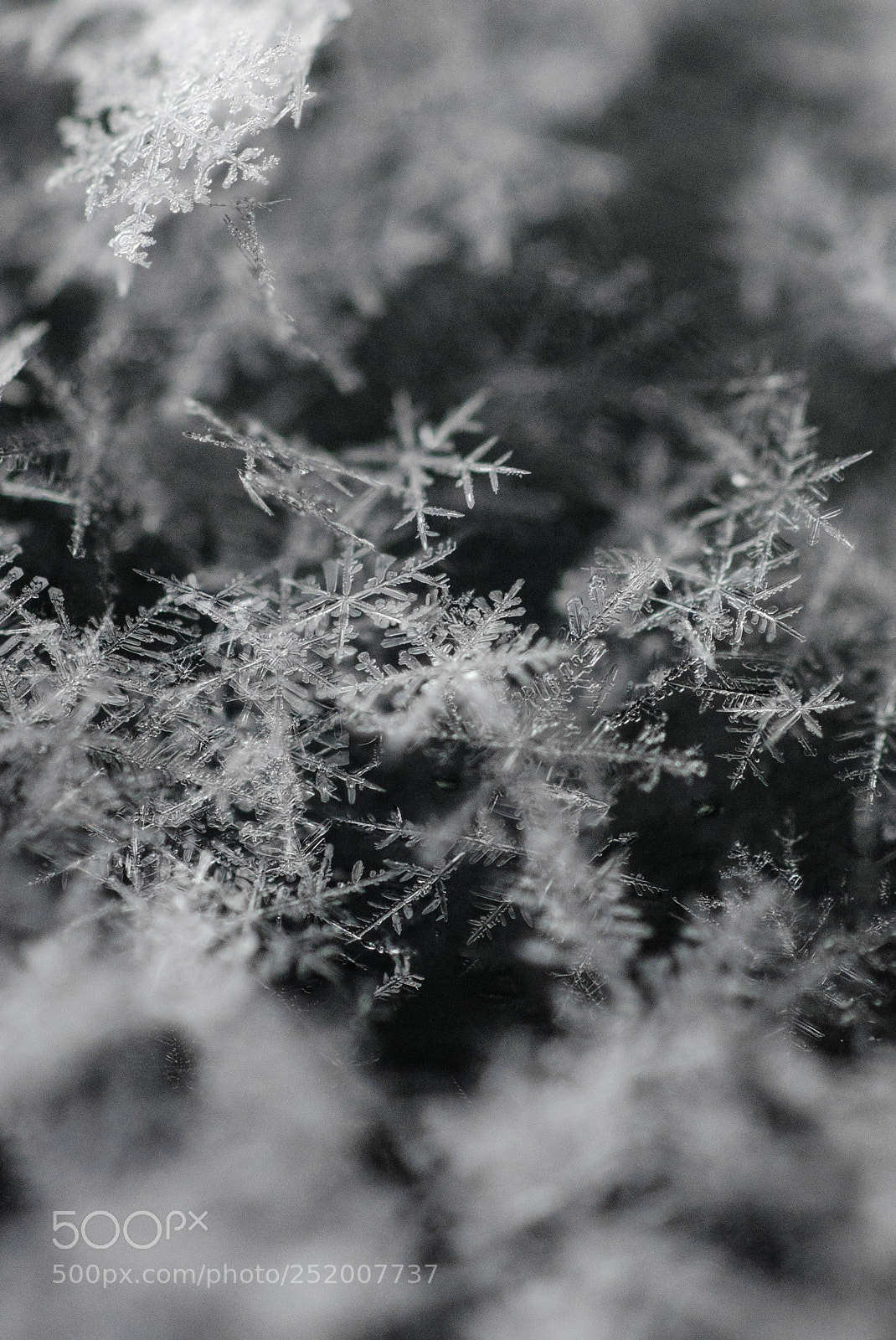 Nikon D7000 sample photo. Snowflake photography