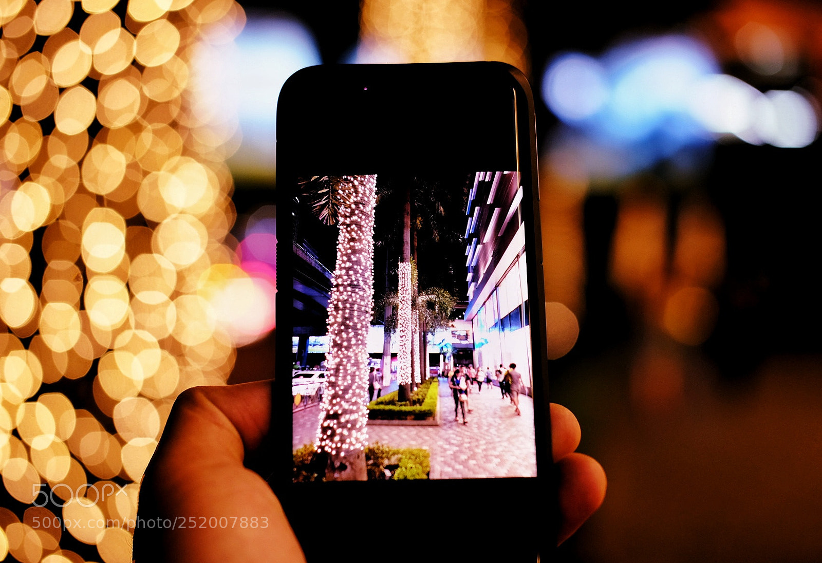Fujifilm X-T10 sample photo. Trees and lights photography