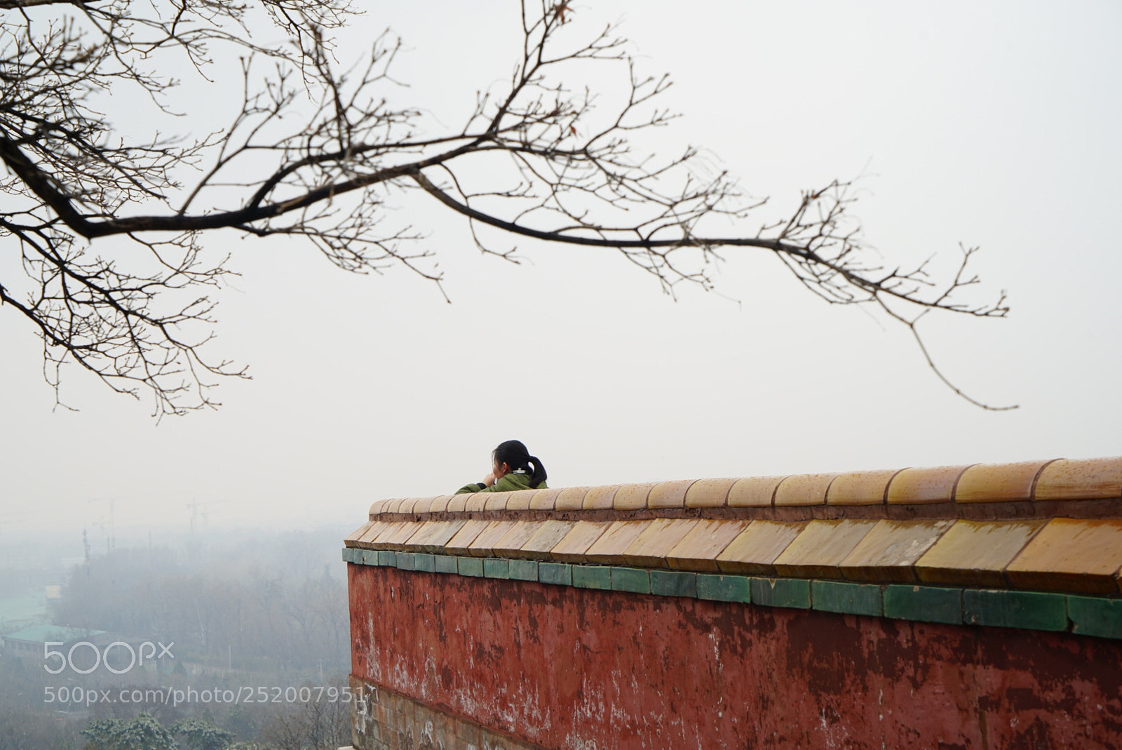 Sony a7R II sample photo. 颐和园 the summer palace photography