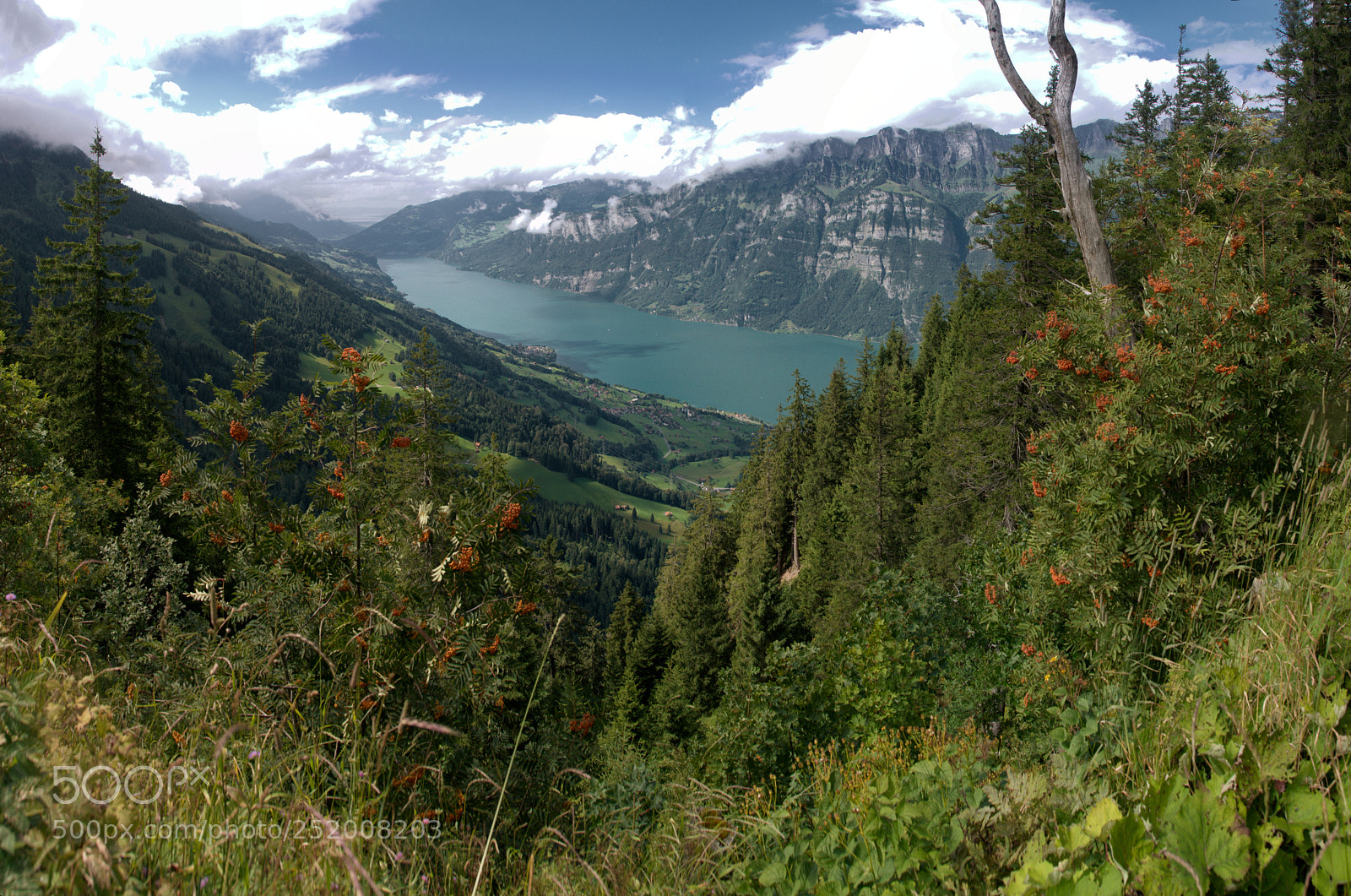 Nikon D300 sample photo. Walensee im herbst photography