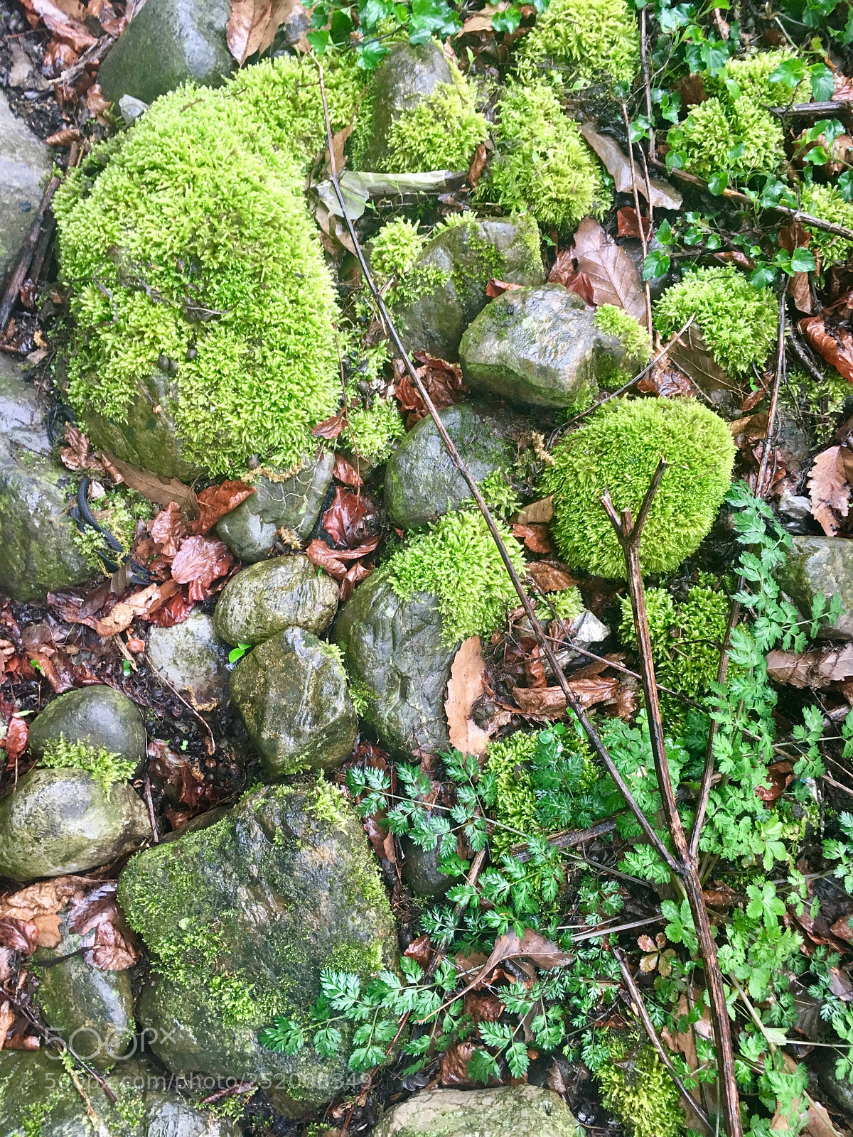 Apple iPhone 6s sample photo. Spring photography