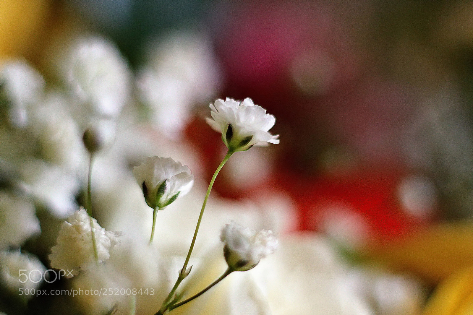 Canon EOS M3 sample photo. Untitled photography