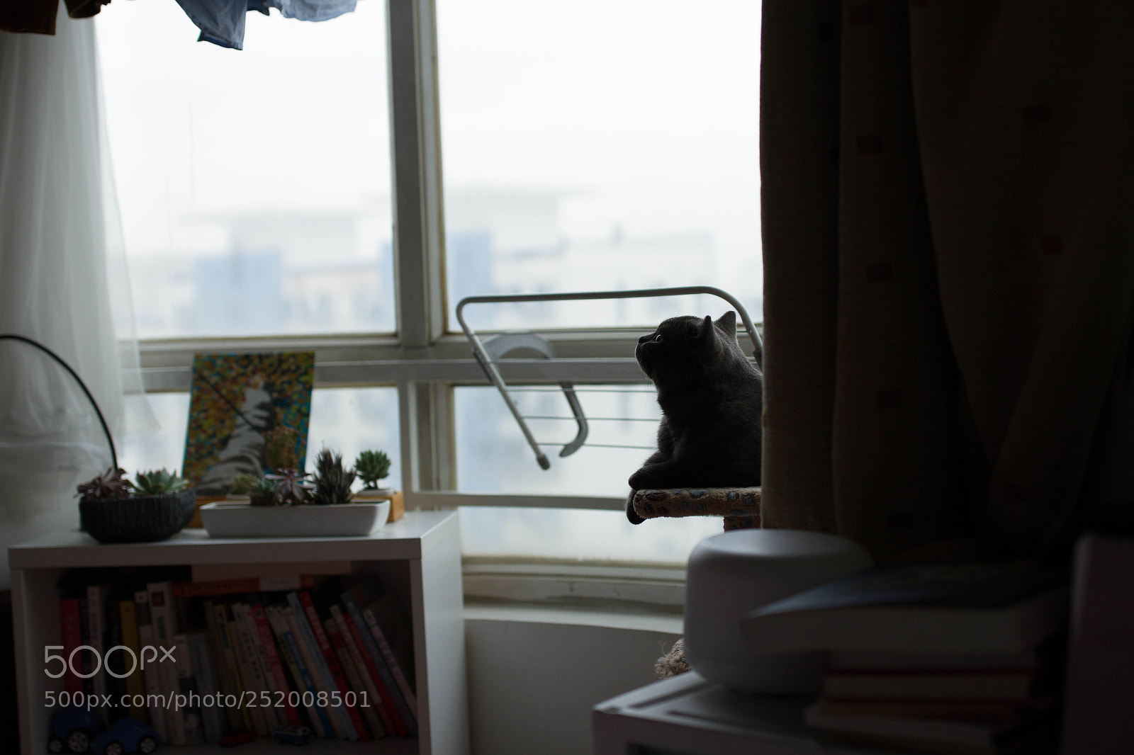 Canon EOS 7D sample photo. Untitled photography