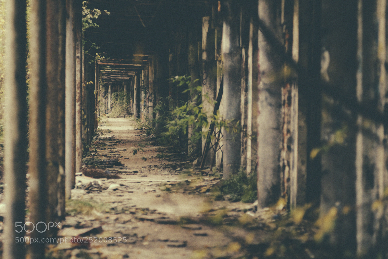 Fujifilm X-Pro1 sample photo. Consonno photography