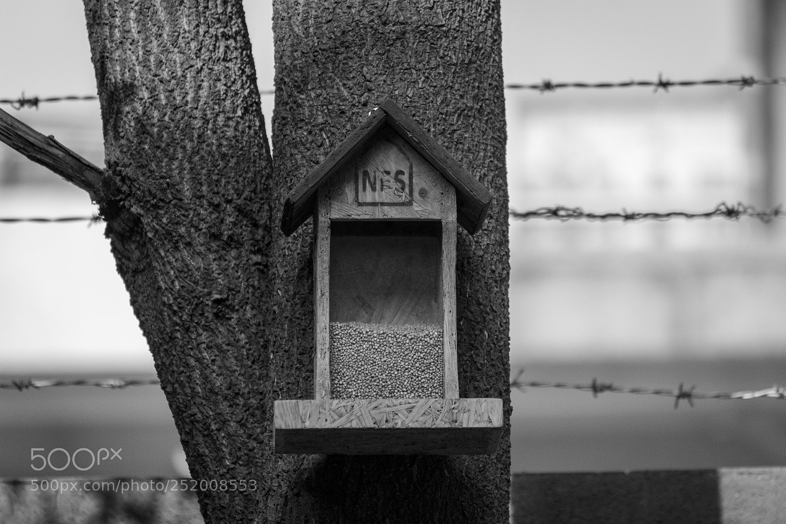 Canon EOS 600D (Rebel EOS T3i / EOS Kiss X5) sample photo. Bird-feeder photography