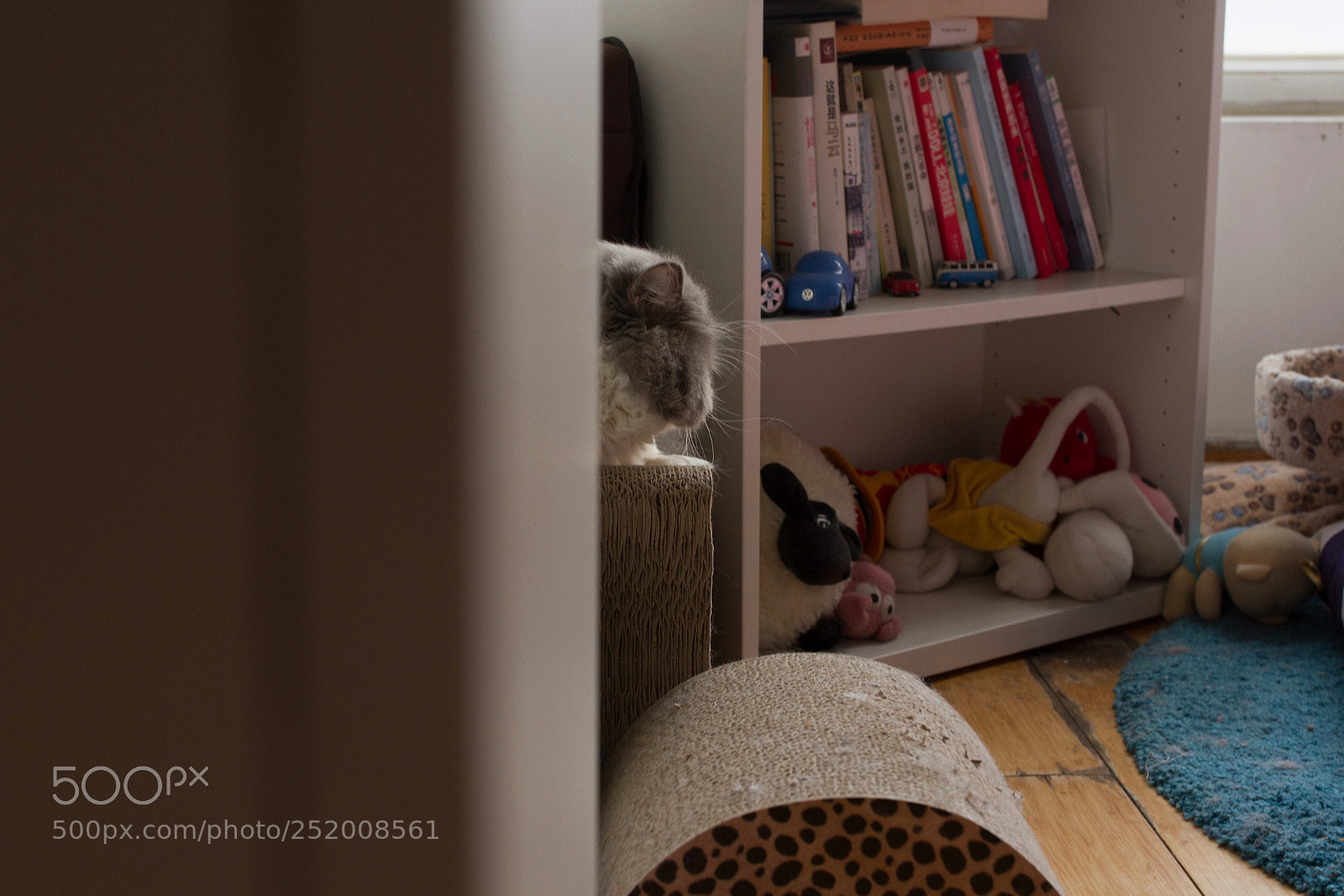 Canon EOS 7D sample photo. Untitled photography