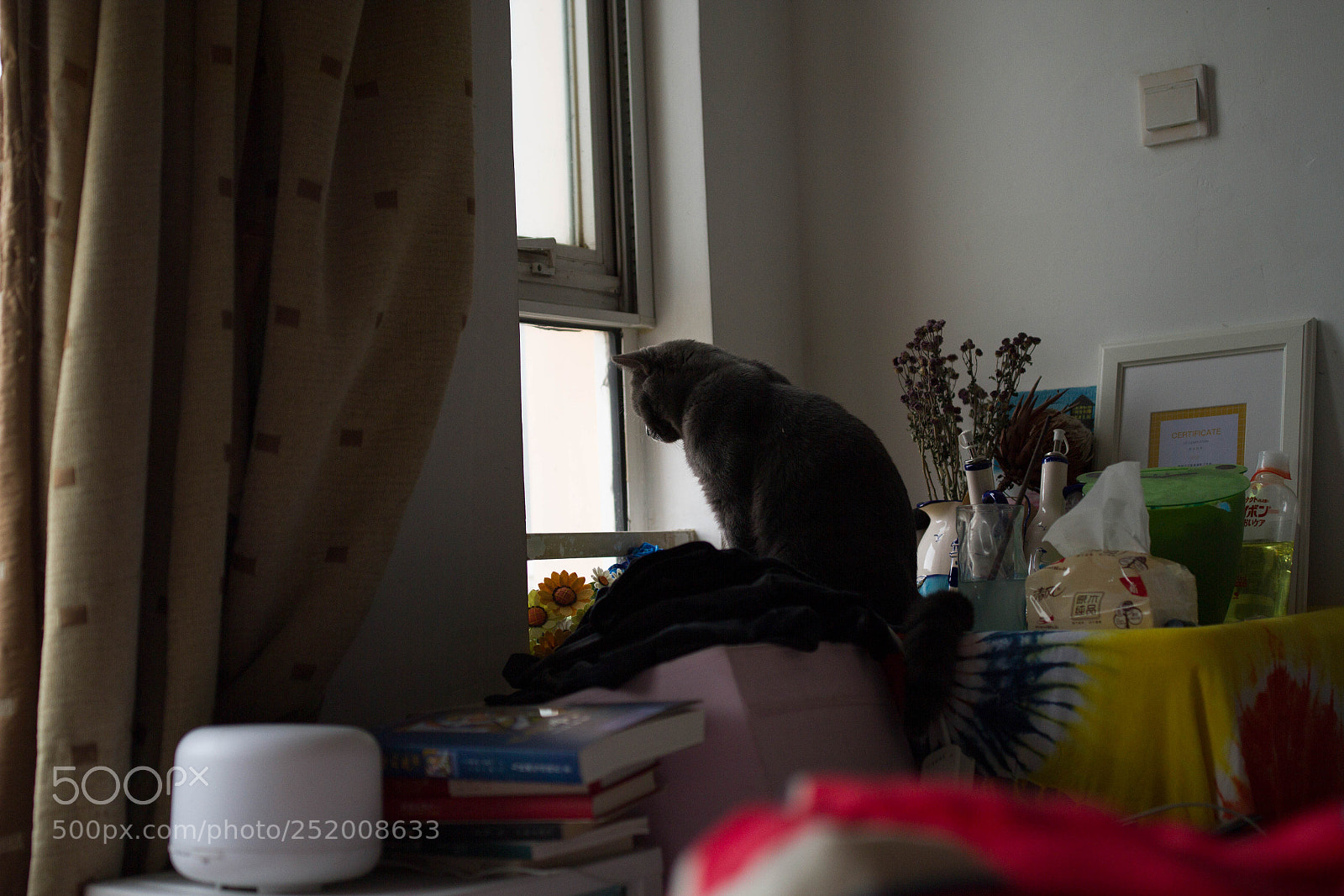 Canon EOS 7D sample photo. Untitled photography