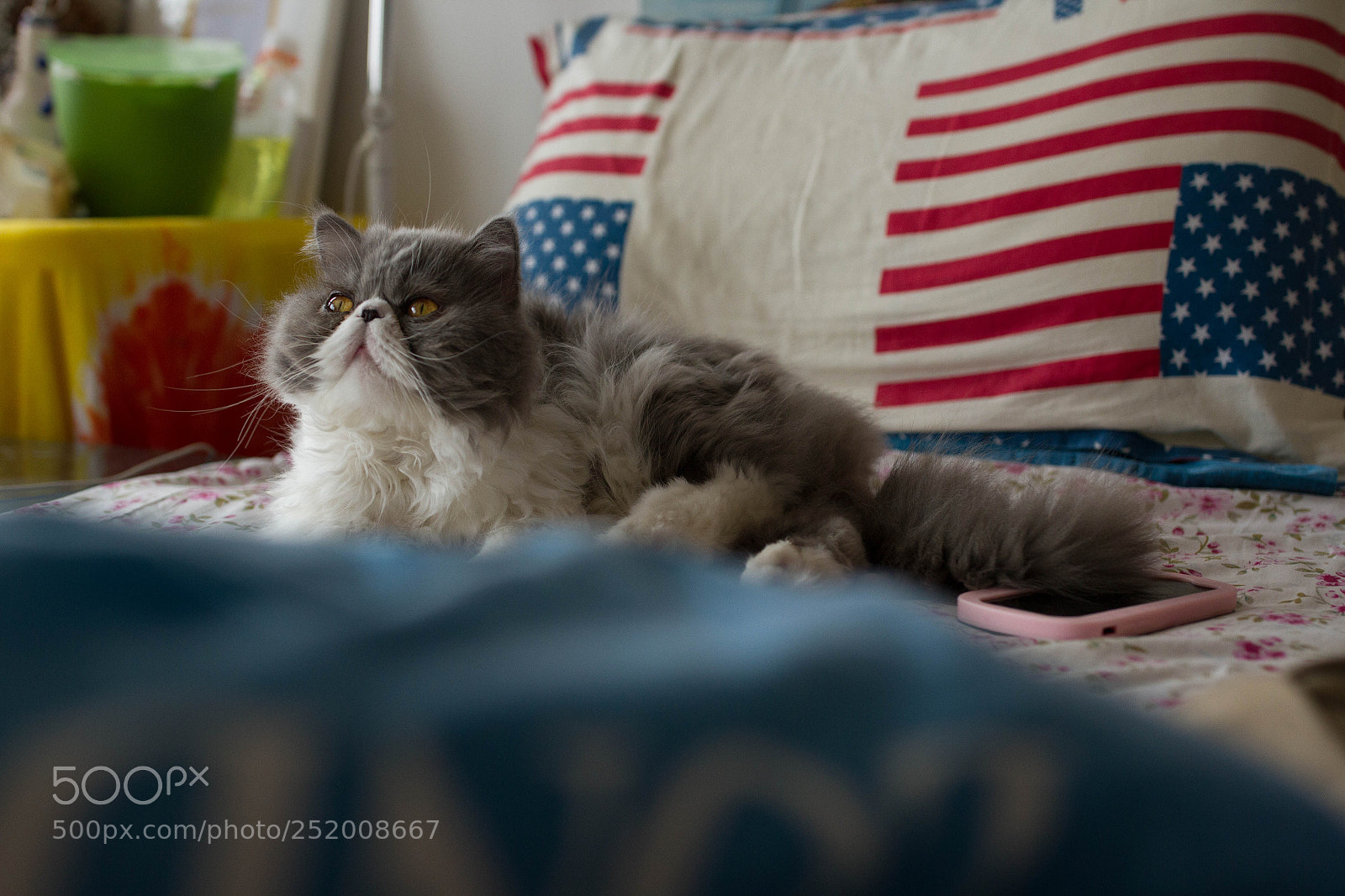 Canon EOS 7D sample photo. Untitled photography