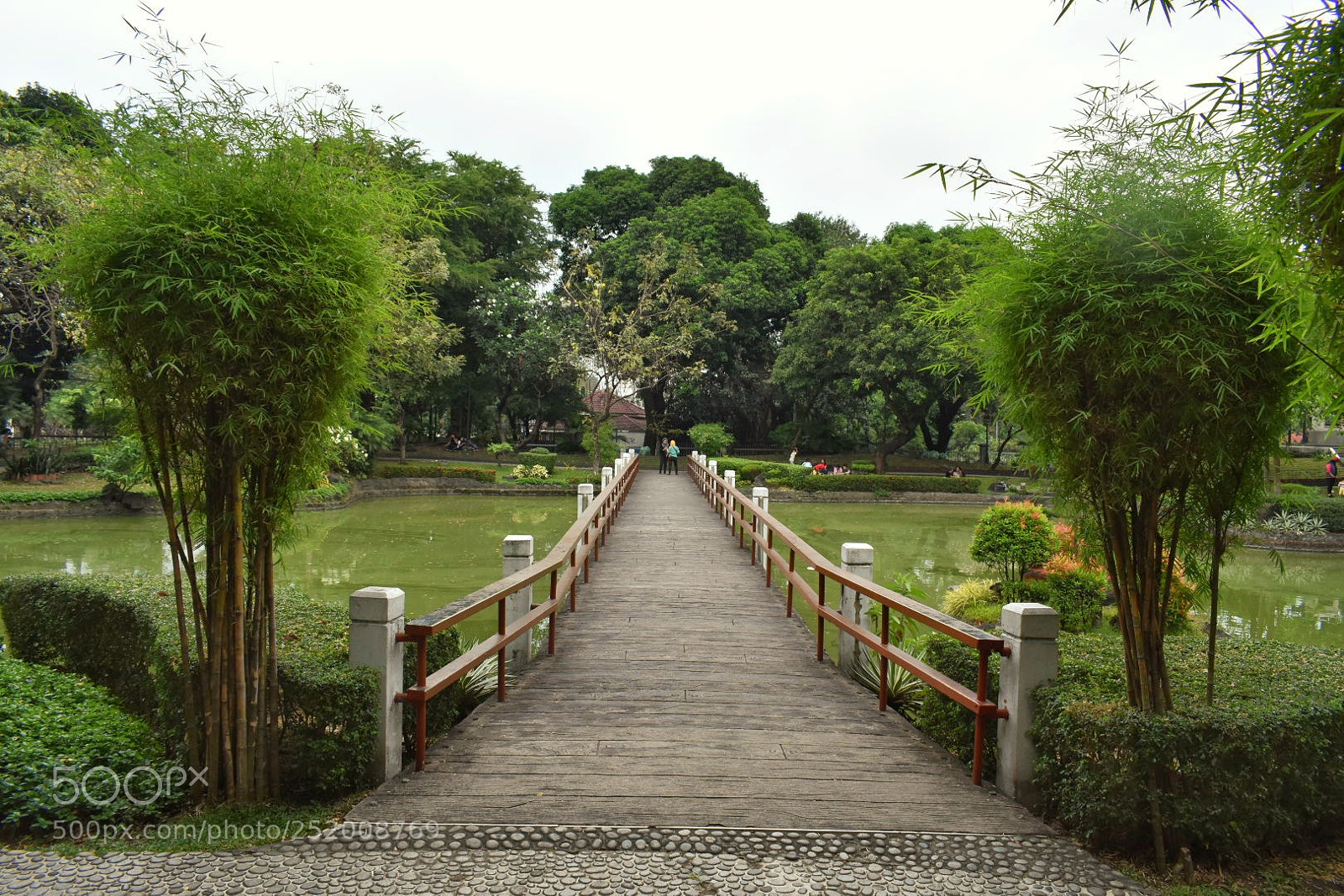 Nikon D3400 sample photo. Journey  photography