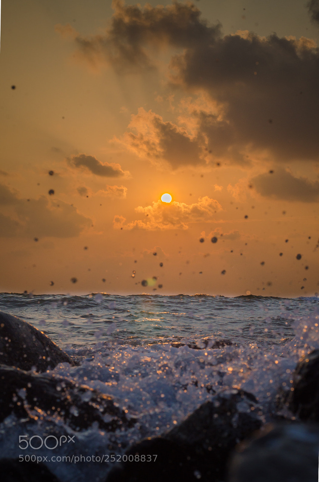 Nikon D5100 sample photo. Touching story !! photography