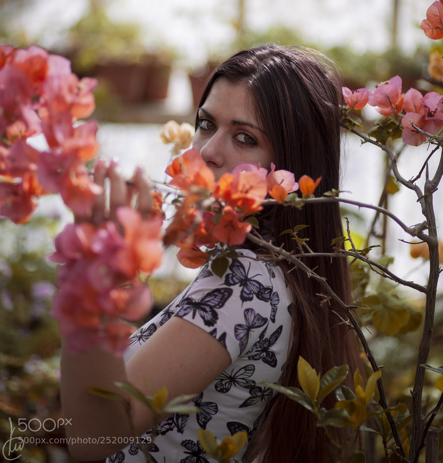 Canon EOS 5D sample photo. A. photography
