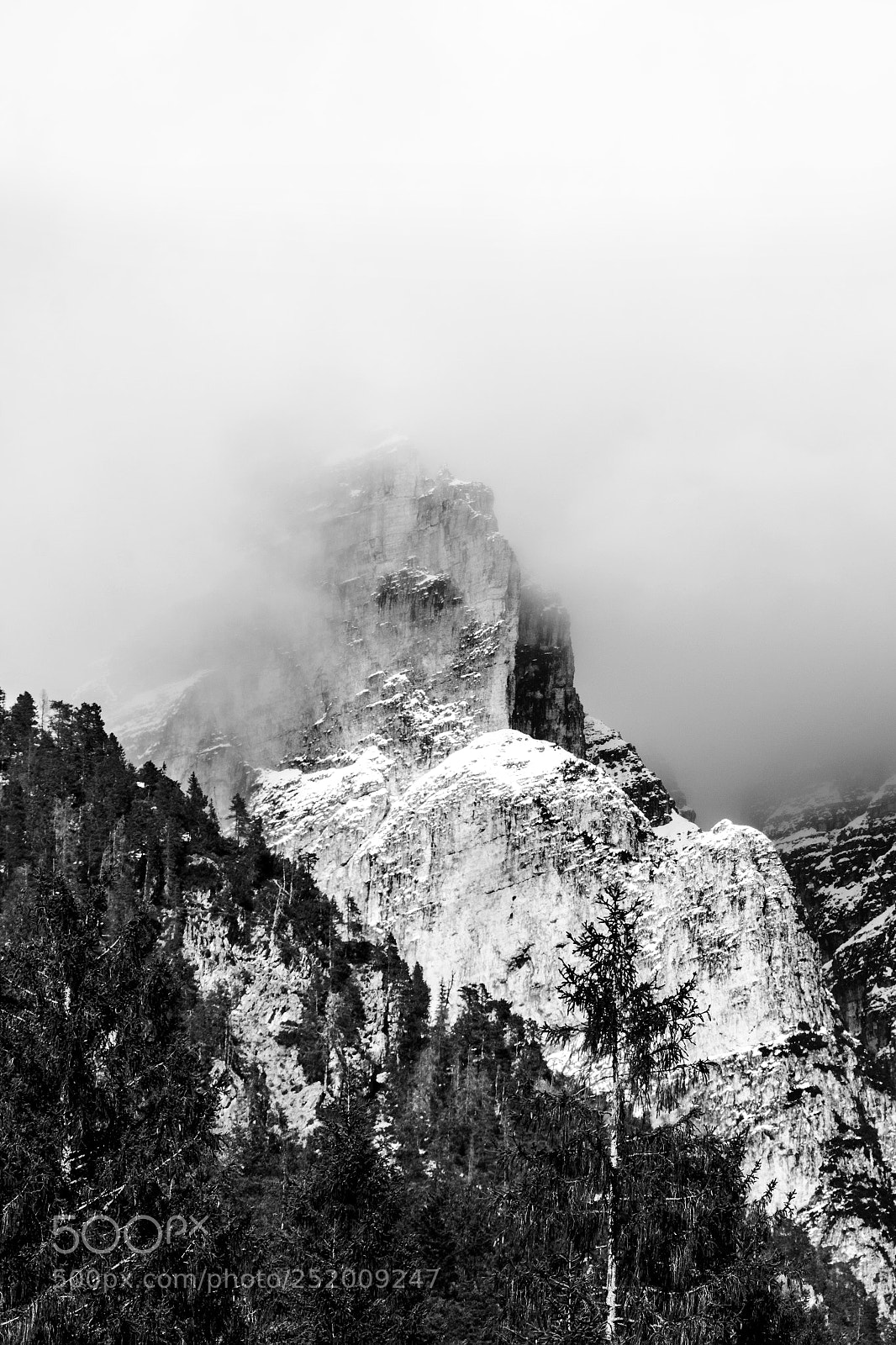 Nikon D7200 sample photo. Foggy peak photography