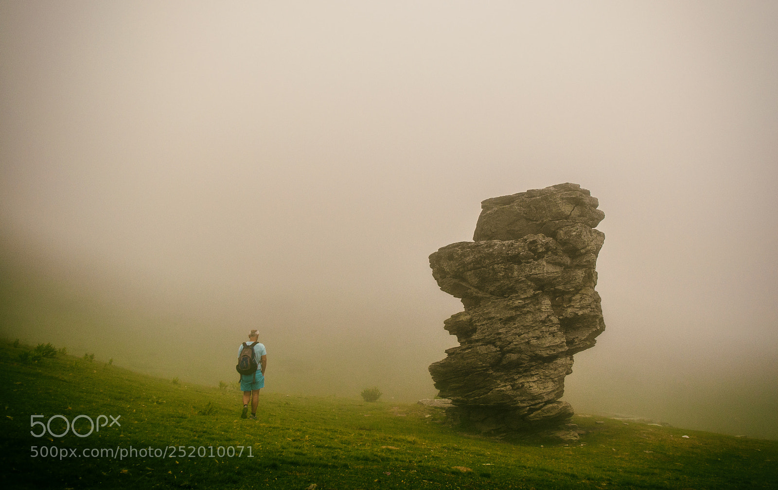 Nikon D5000 sample photo. Rock in the fog photography
