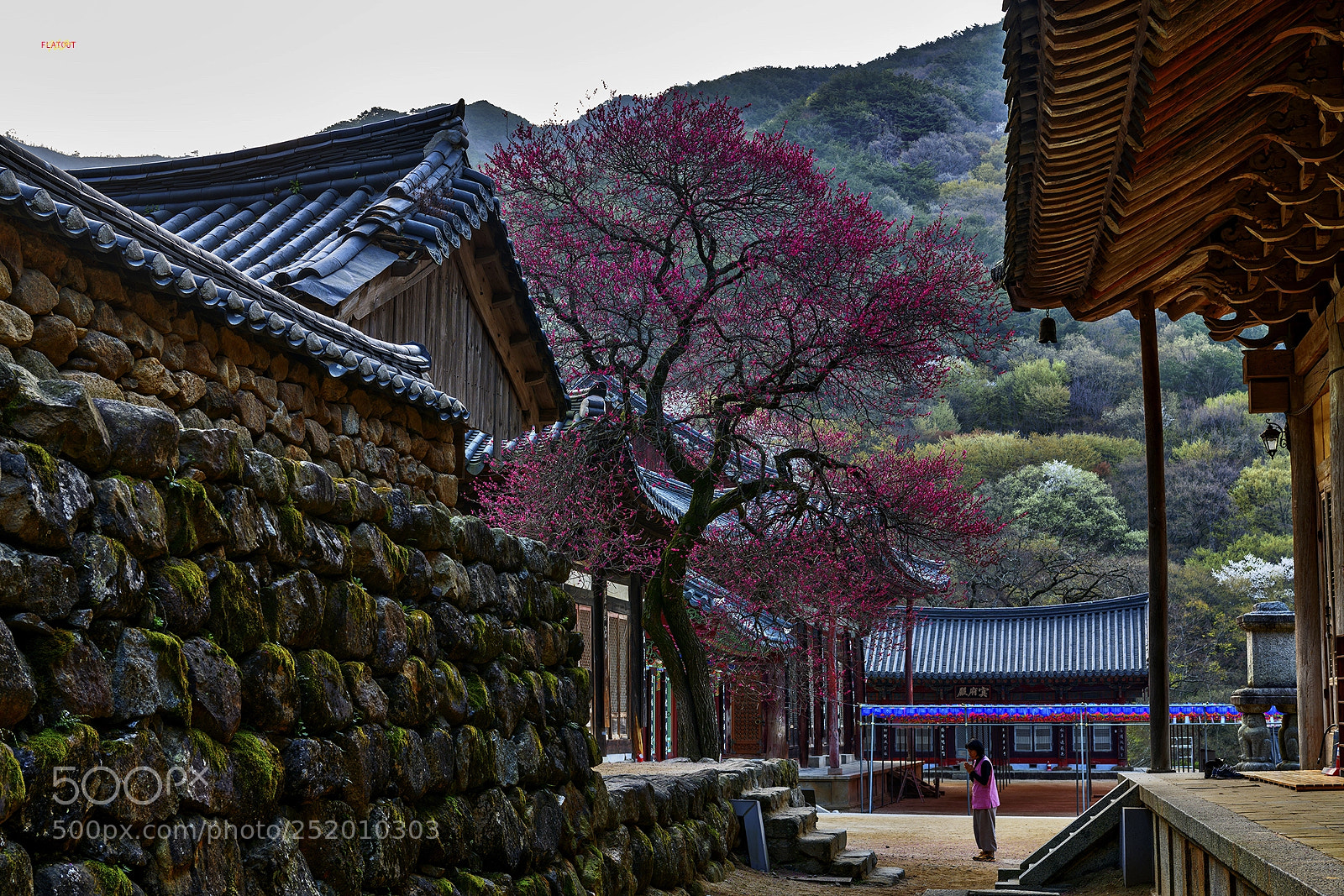 Nikon D850 sample photo. 기도.. photography