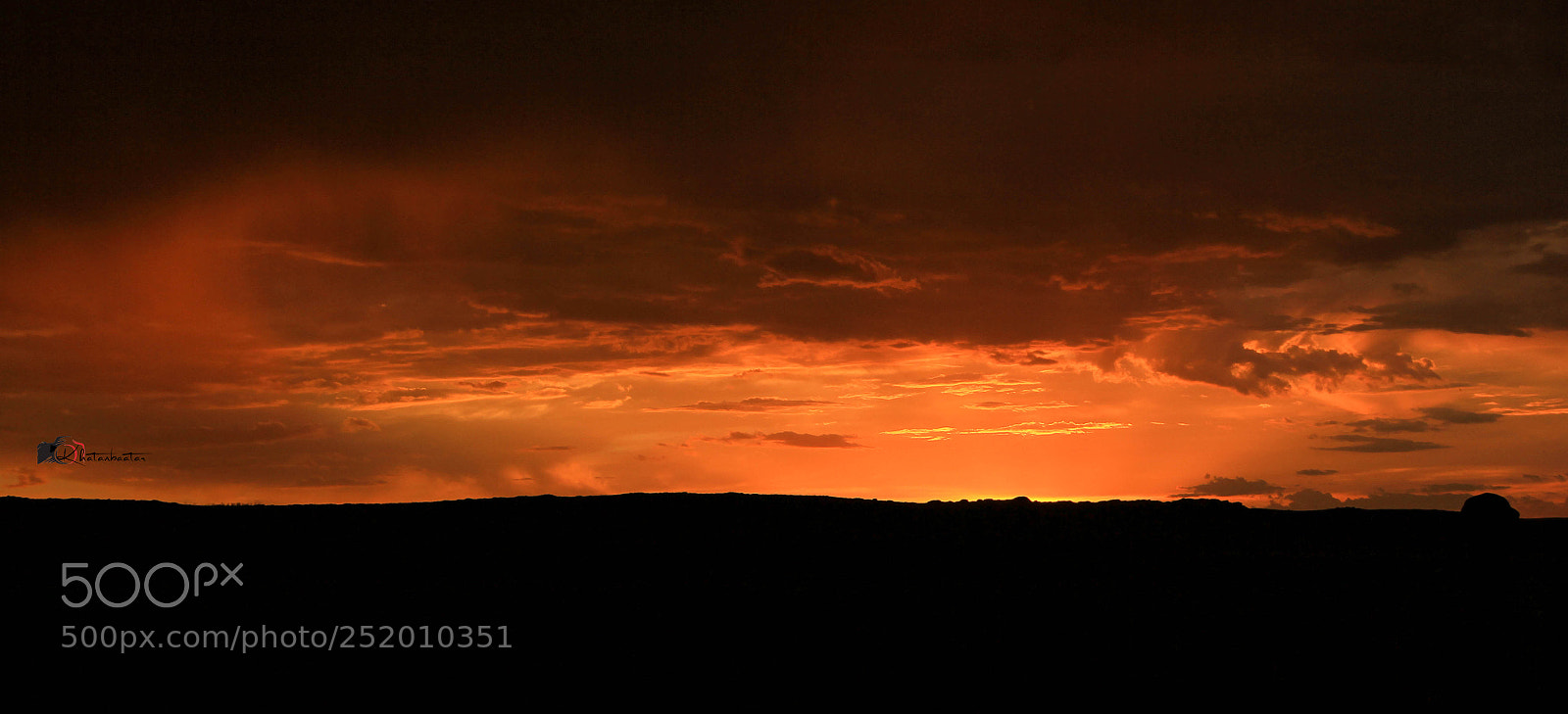Canon EOS 60D sample photo. Img photography