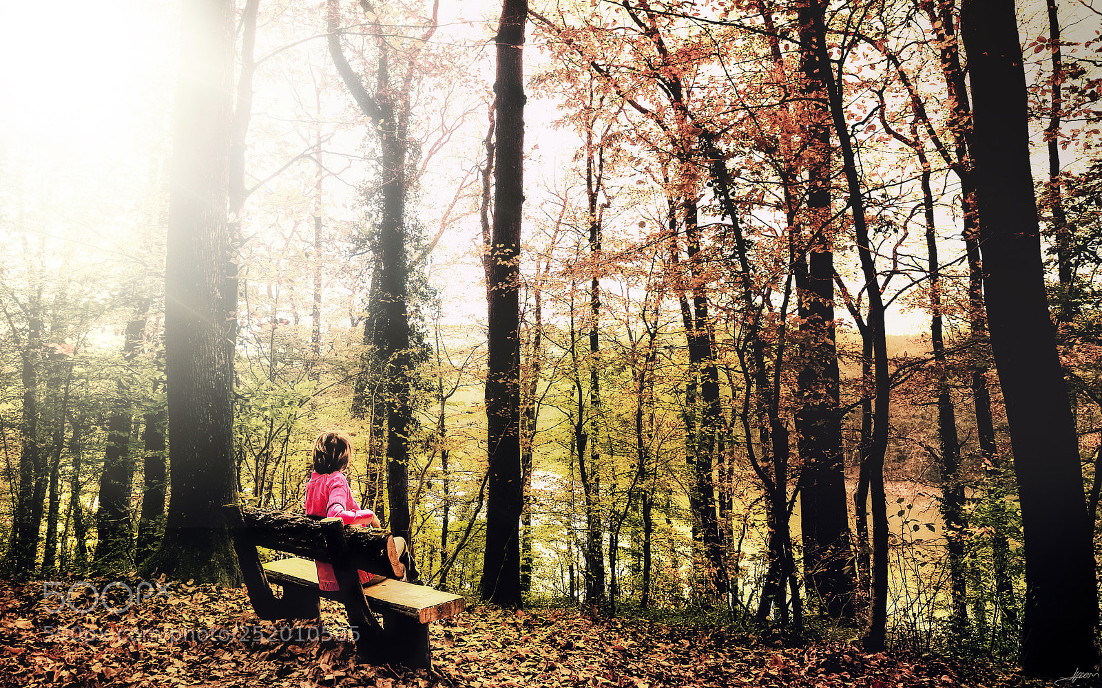 Nikon D3S sample photo. Rest in the forest photography