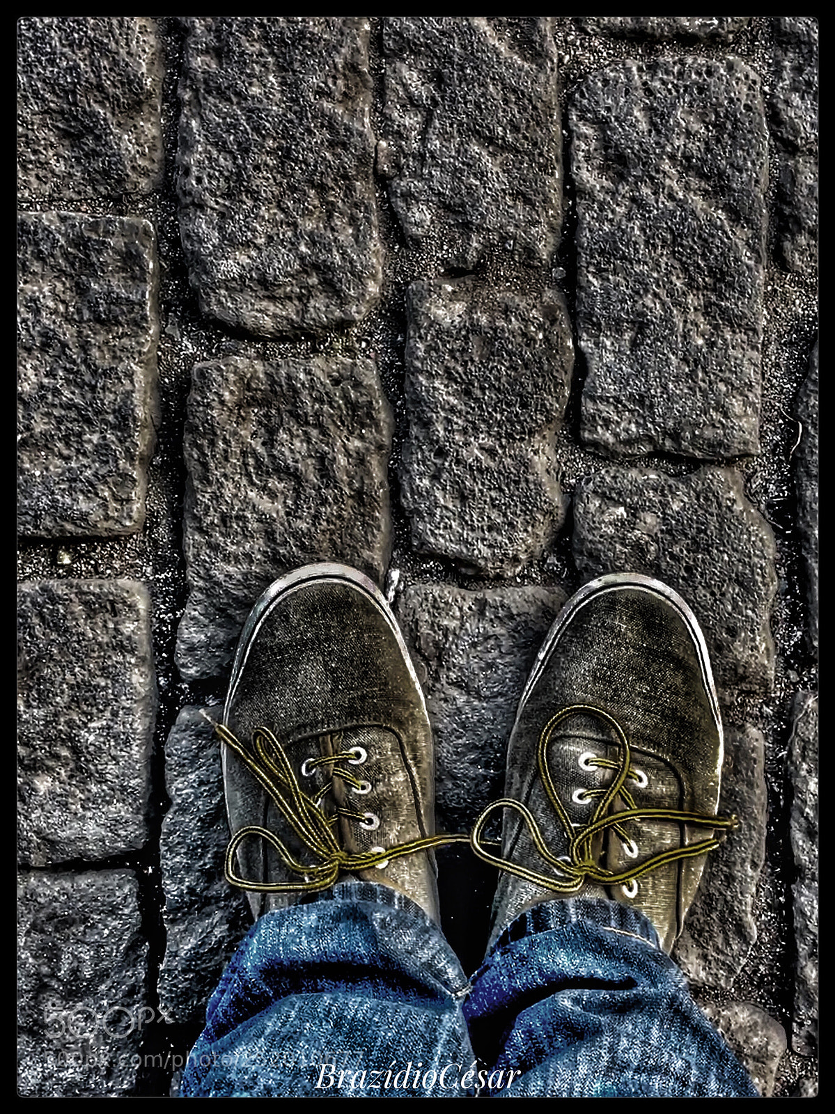 Apple iPhone 6s sample photo. Untitled photography