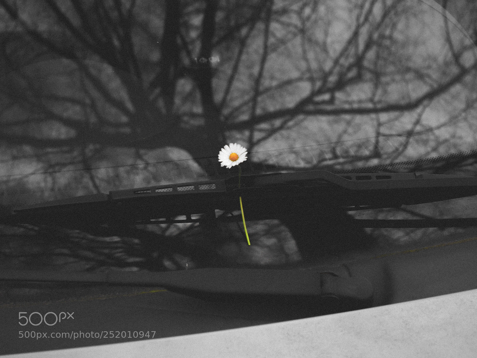 Panasonic Lumix DMC-G85 (Lumix DMC-G80) sample photo. Car photography