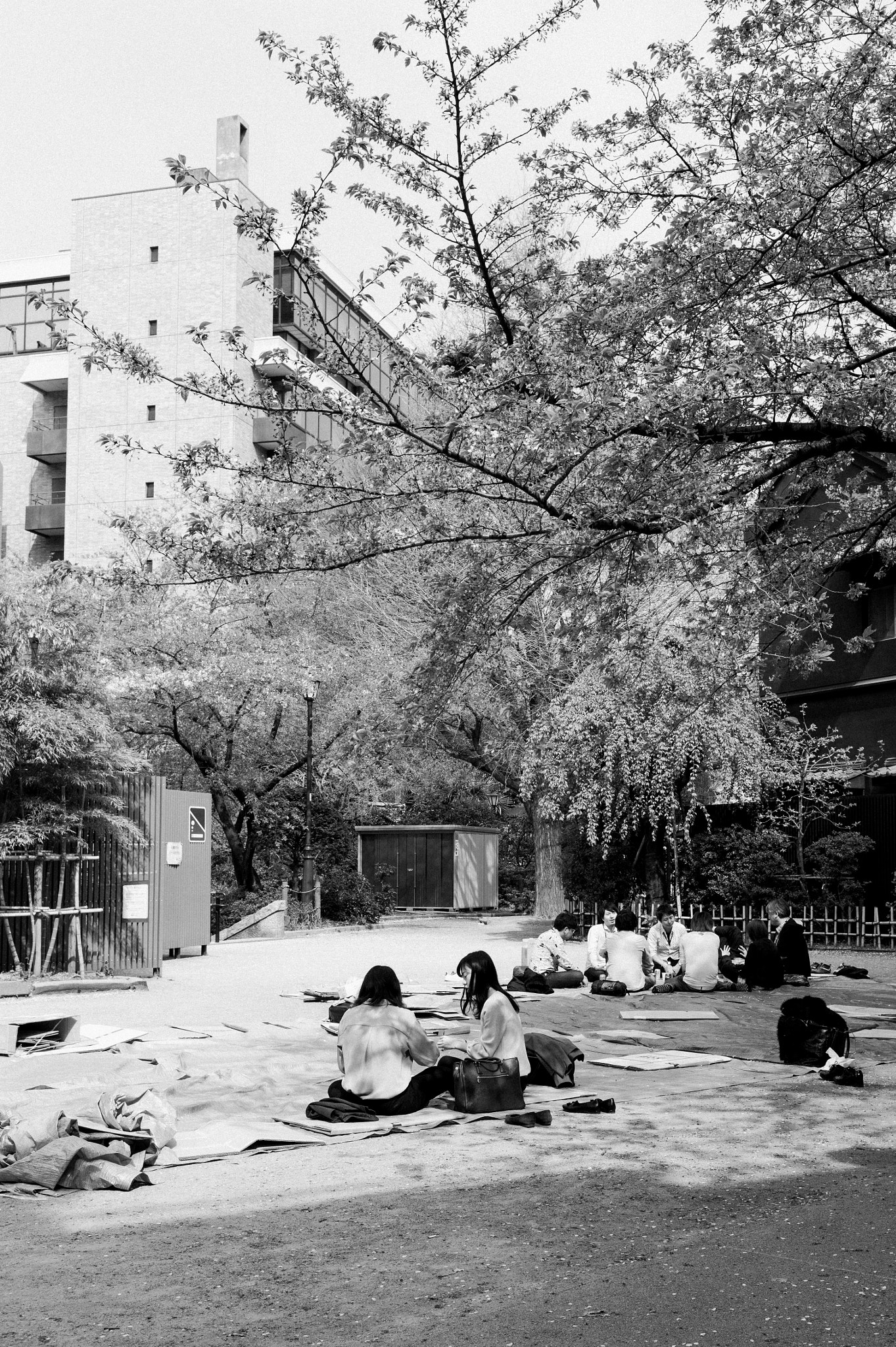 Summicron-M 35mm f/2 (IV) sample photo. L photography