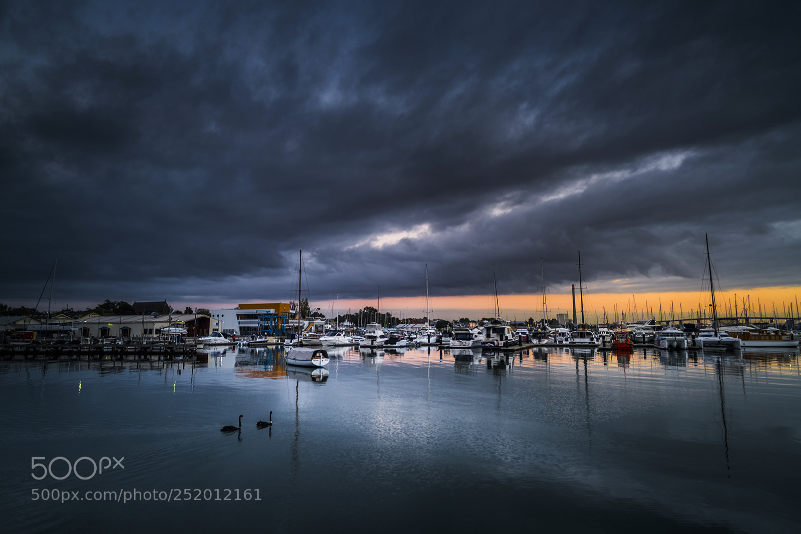 Nikon D810 sample photo. Williamstown port photography