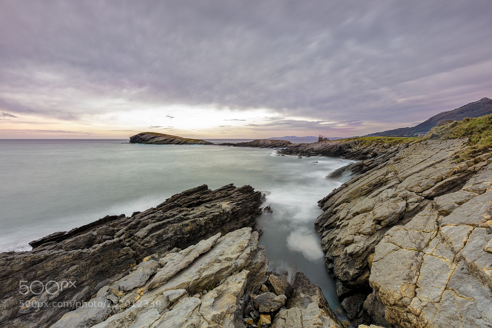 Canon EOS 5DS R sample photo. La ballena en calma. photography