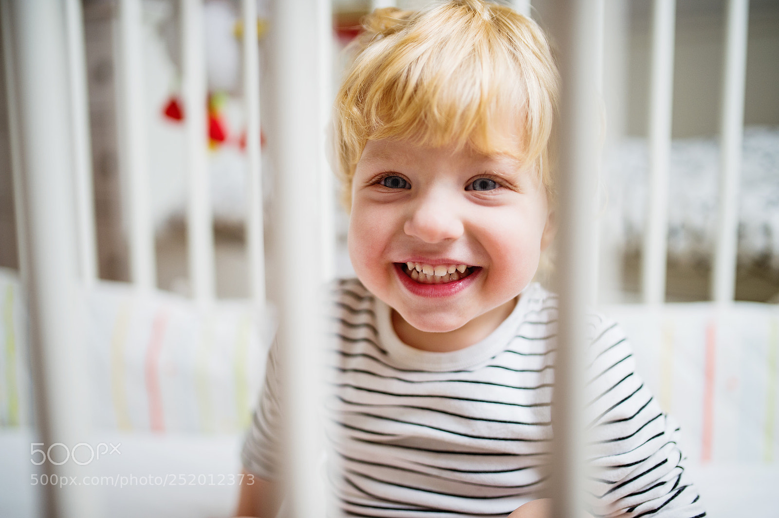 Nikon D4S sample photo. Cute toddler boy in photography