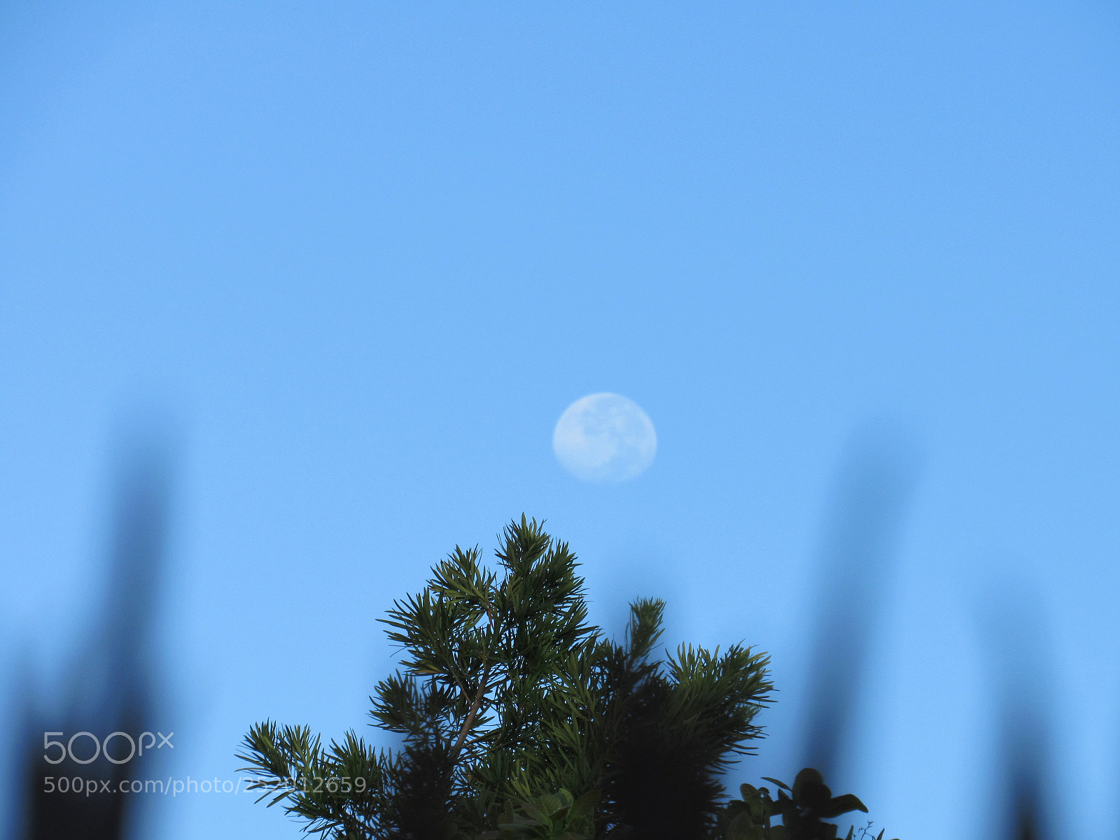 Canon PowerShot SX520 HS sample photo. Moon in the morning photography
