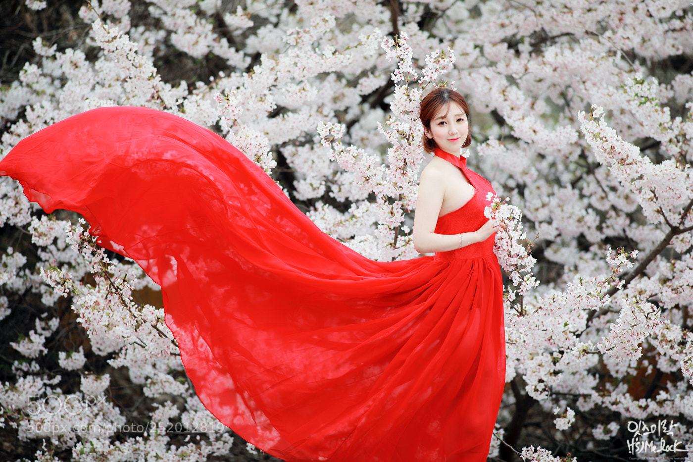 Canon EOS 5D Mark IV sample photo. Scent of spring photography