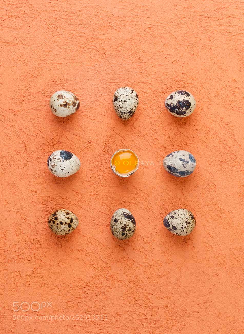 Nikon D3 sample photo. Quail eggs on a photography