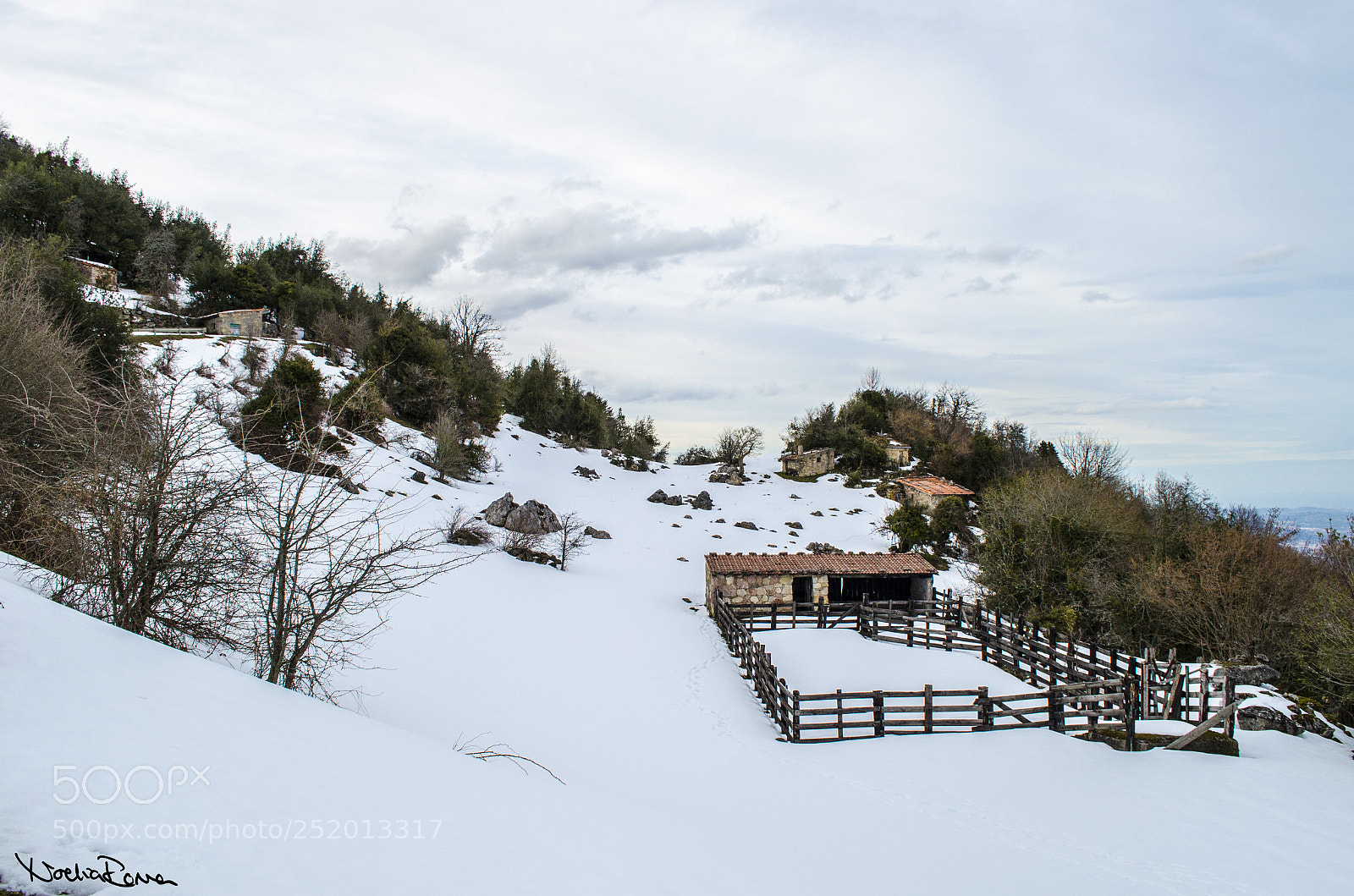 Nikon D5100 sample photo. Winter hasn't gone photography