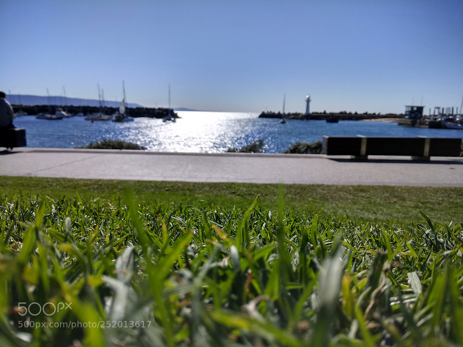 Xiaomi Redmi Note 4 sample photo. Grass photography