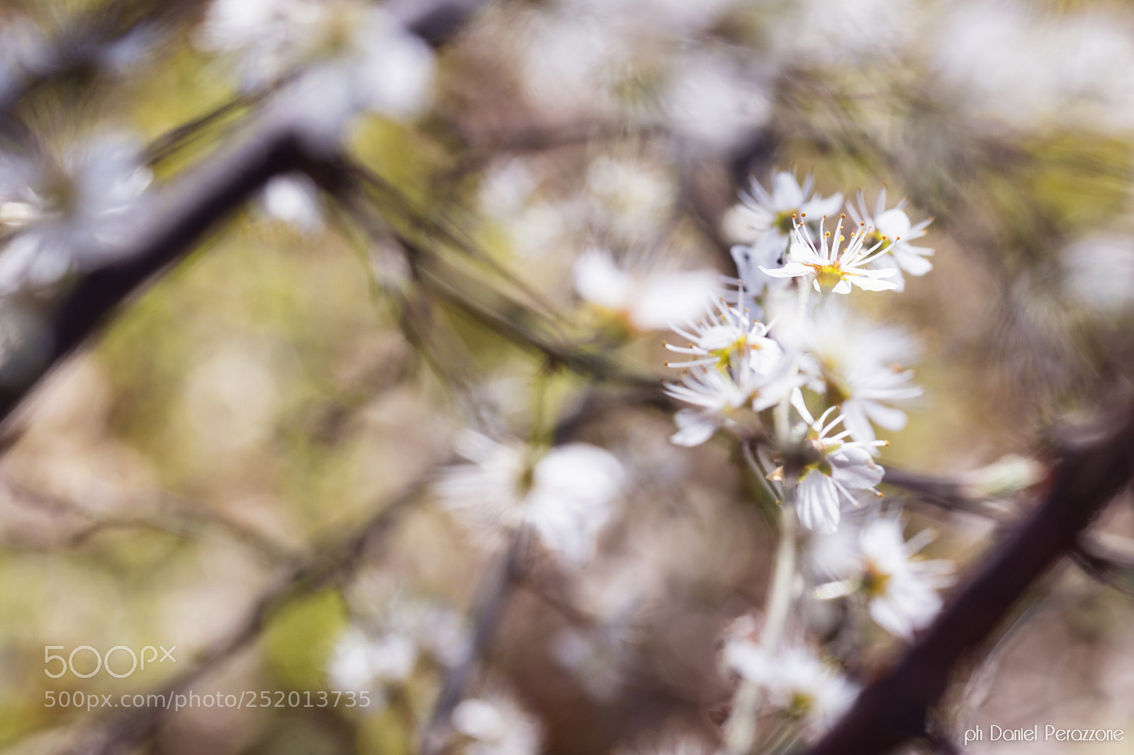Nikon D7100 sample photo. Take a walk on photography