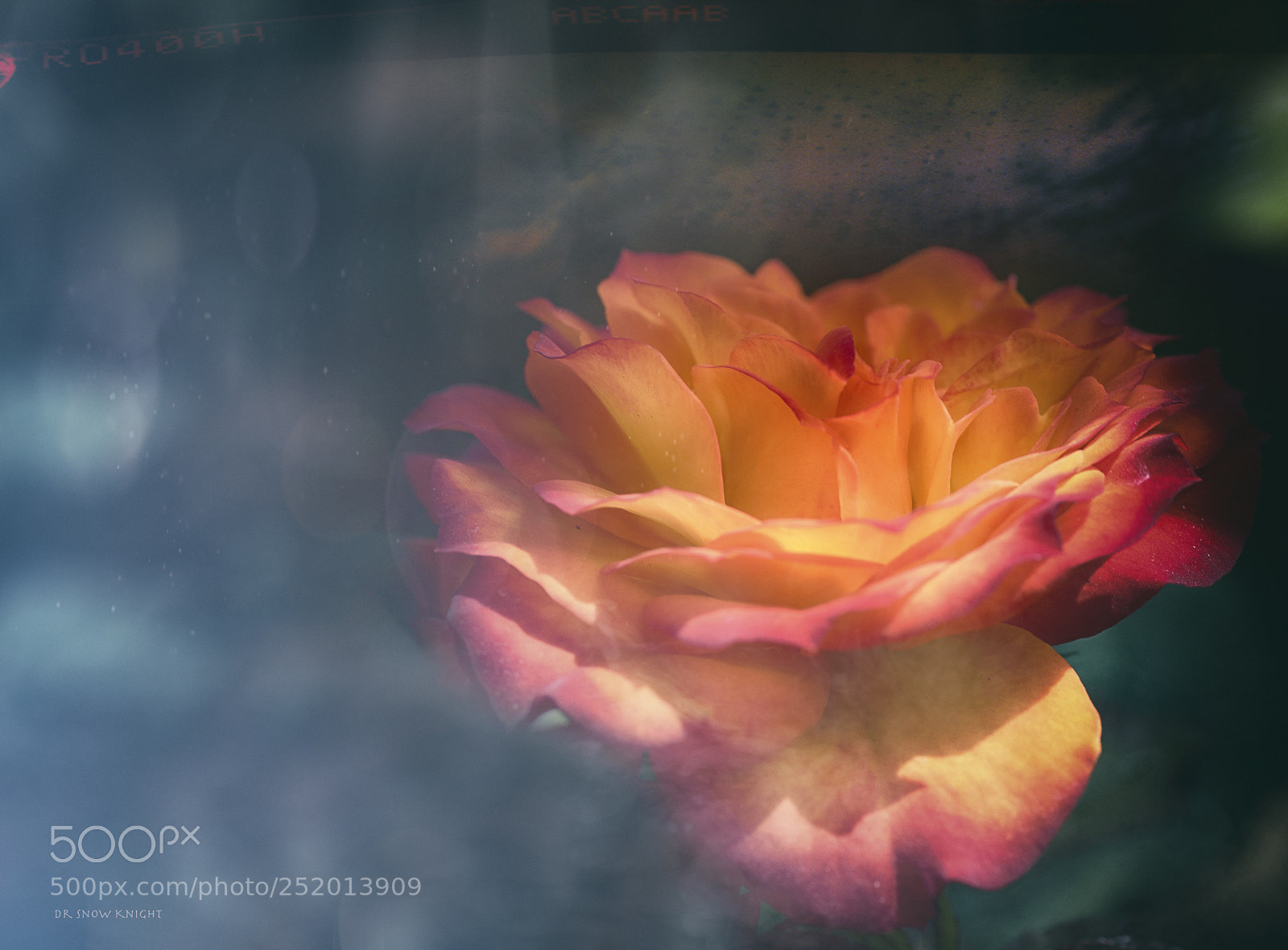 Nikon D810 sample photo. 7.jpg photography