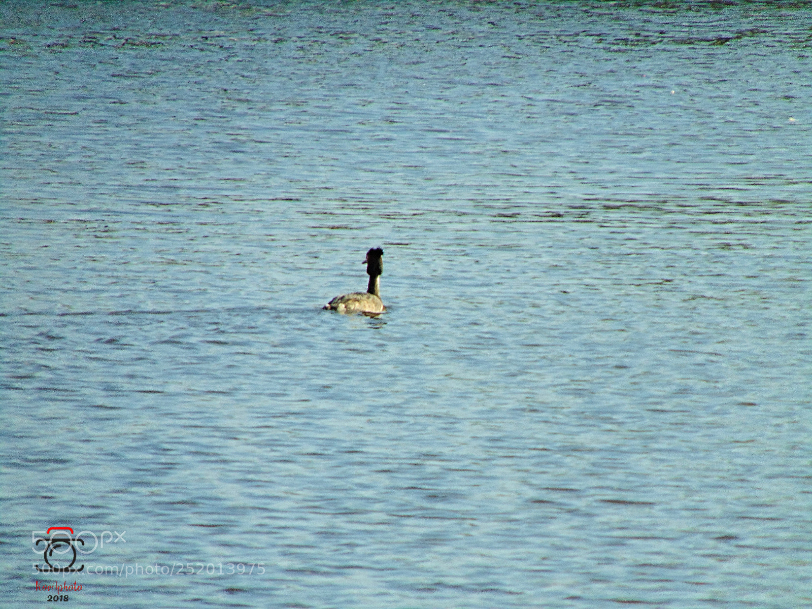 Sony Cyber-shot DSC-H300 sample photo. Untitled photography