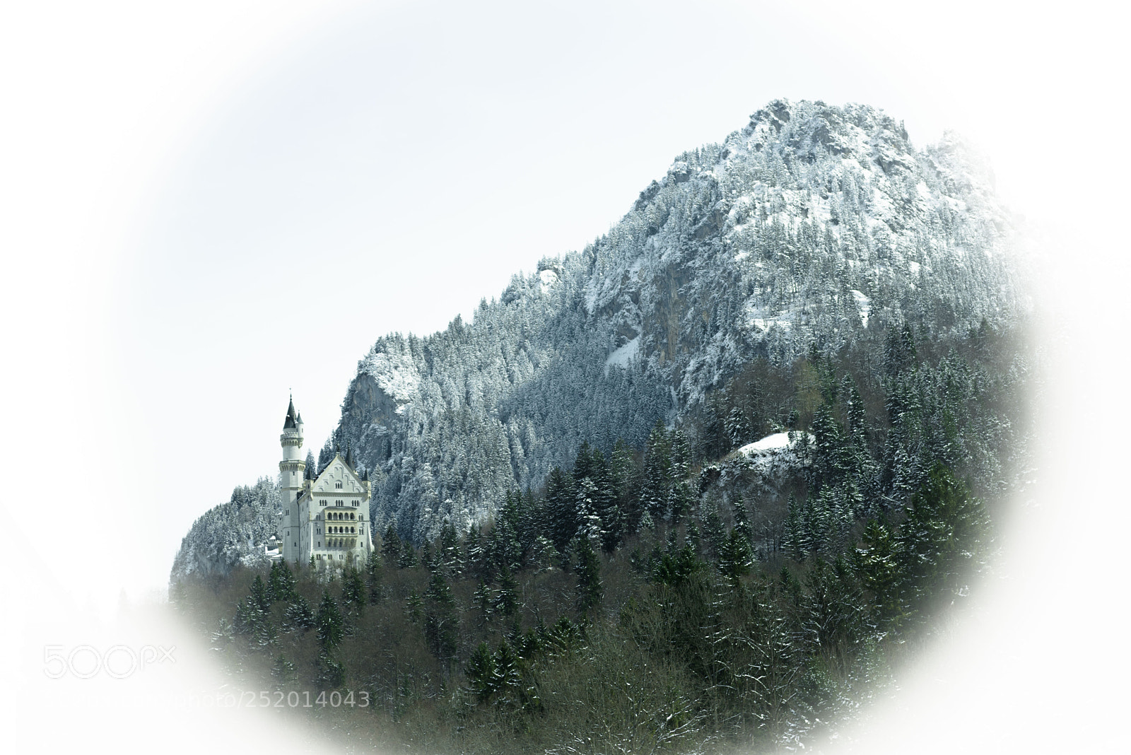 Nikon D810 sample photo. Neuschwanstein castle photography