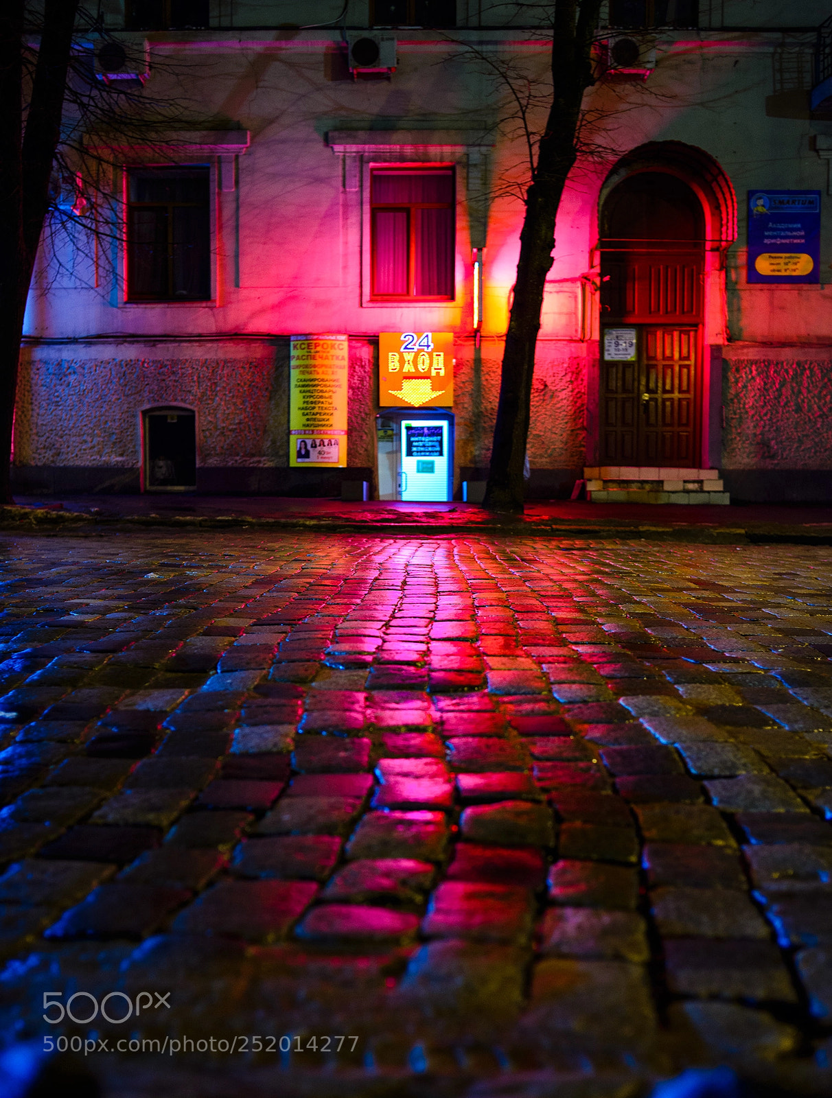 Nikon D610 sample photo. Rabbit hole photography
