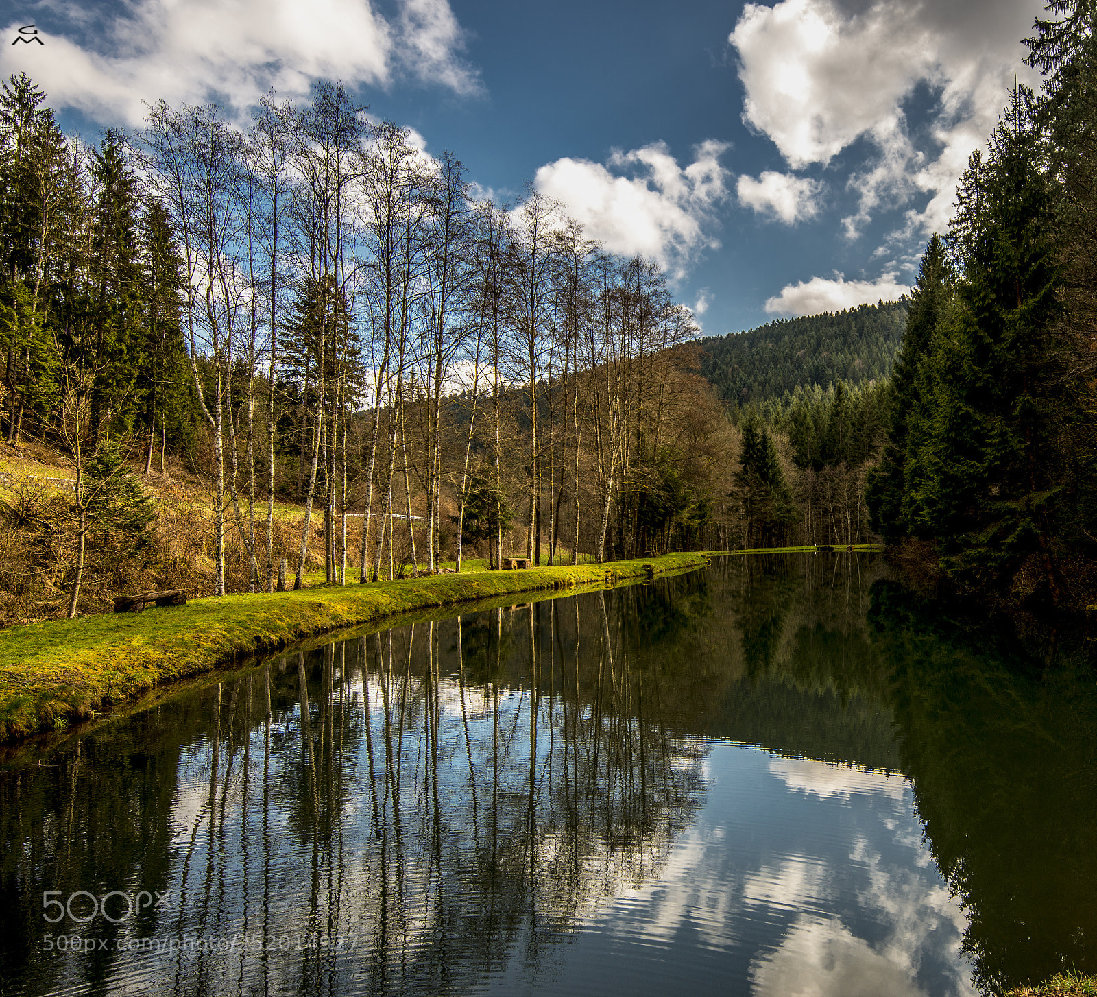 Nikon D800 sample photo. Fish pond reflection photography