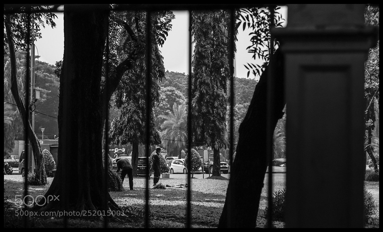 Sony a7S sample photo. Jardiniers, jakarta. photography