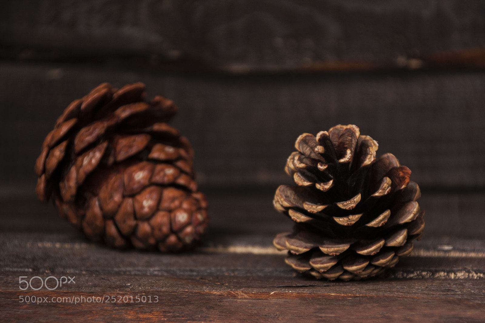 Canon EOS 40D sample photo. Pinetreefruit photography